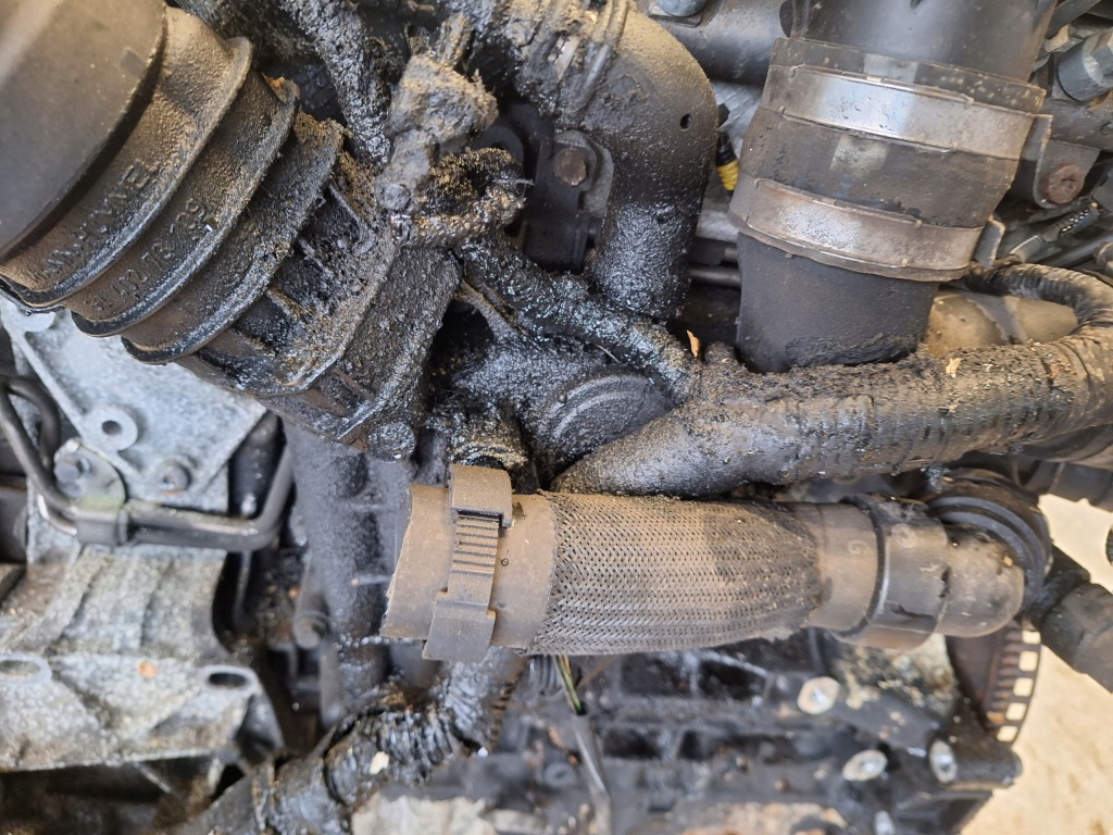 Moteur D 5204 T2 - Image 2