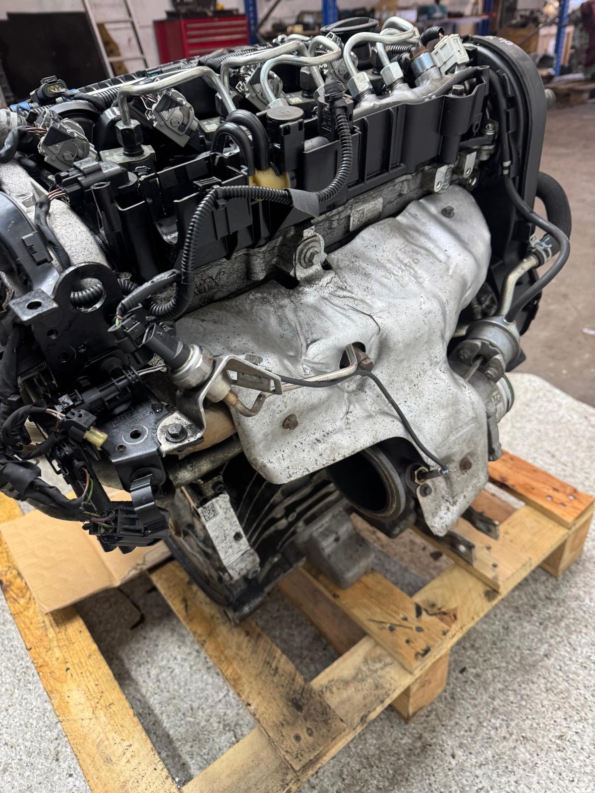Moteur D 4204 T8 - Image 10