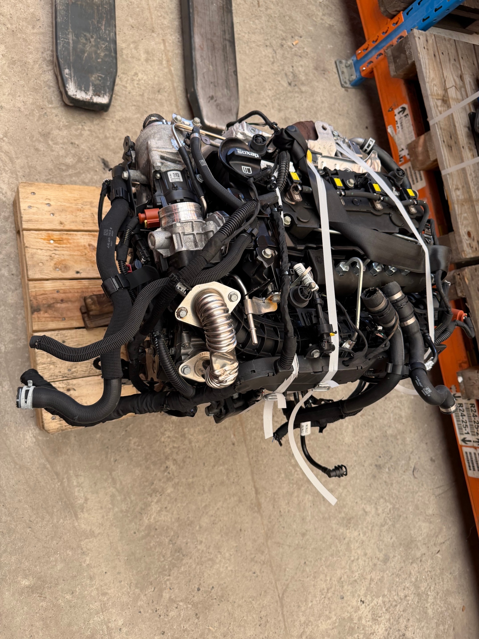 Moteur B 16 DTH - Image 7