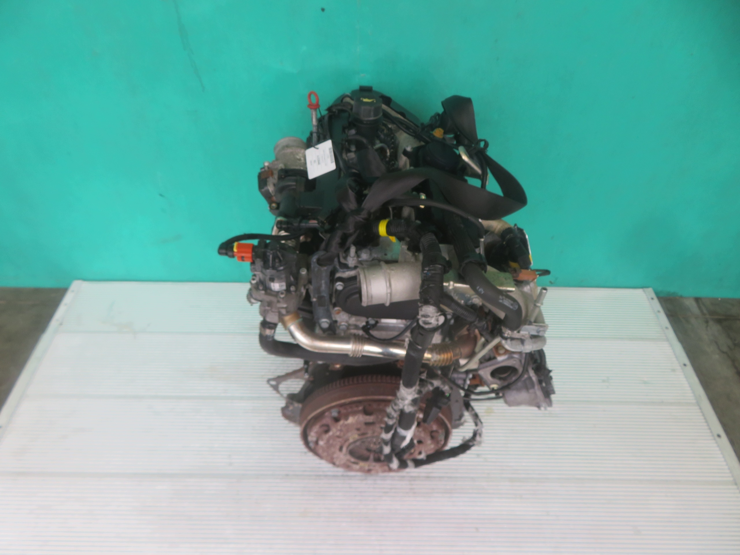 Moteur F1AGL411C - Image 3