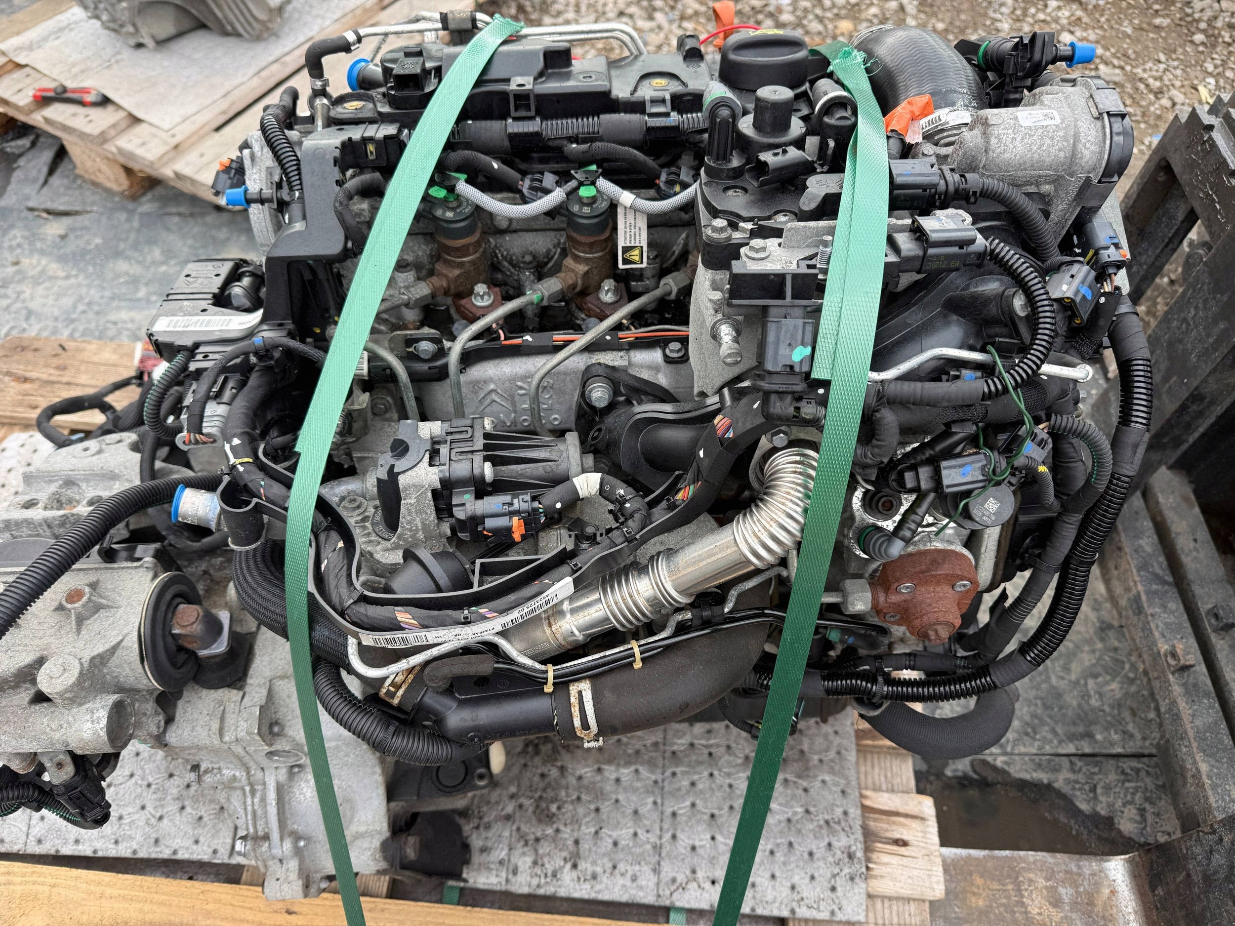 Moteur 8HP (DV4C) - Image 3