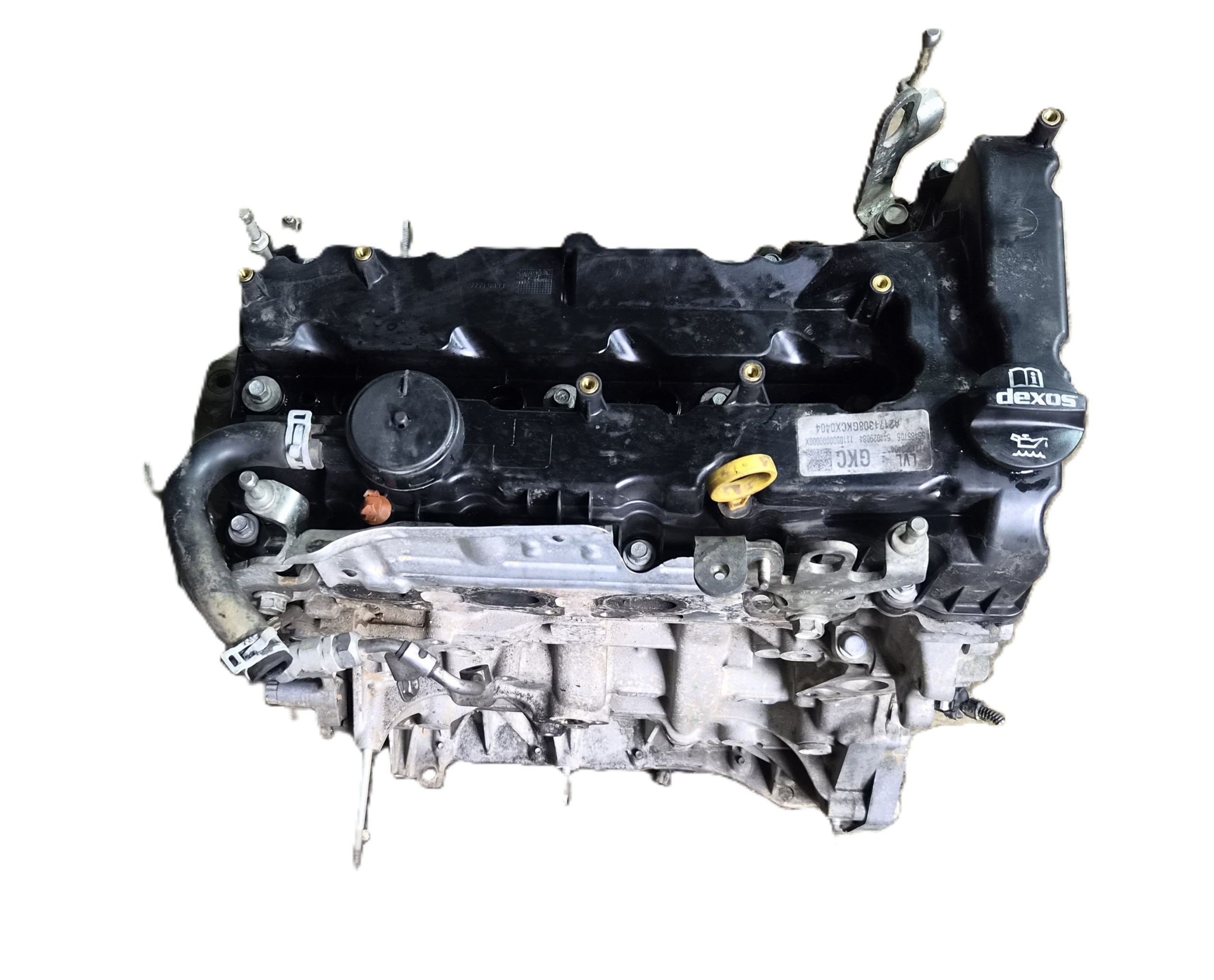 Moteur B 16 DTH - Image 10
