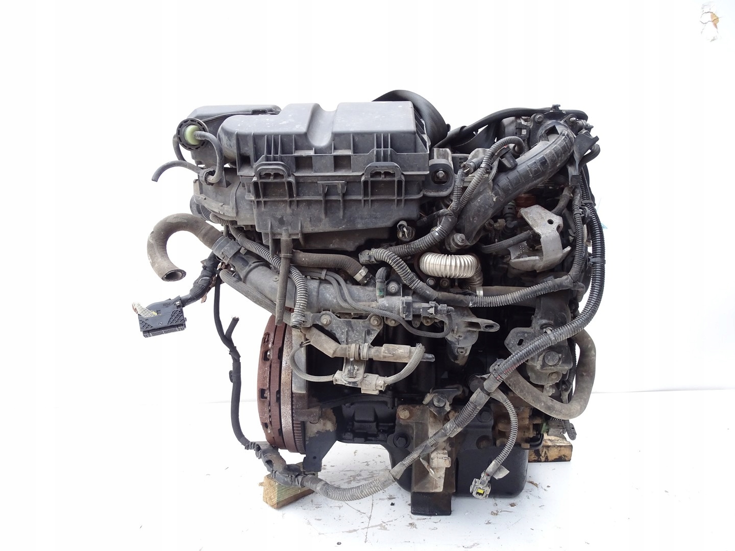 Moteur D 15 DTH (DV5RC) - Image 2