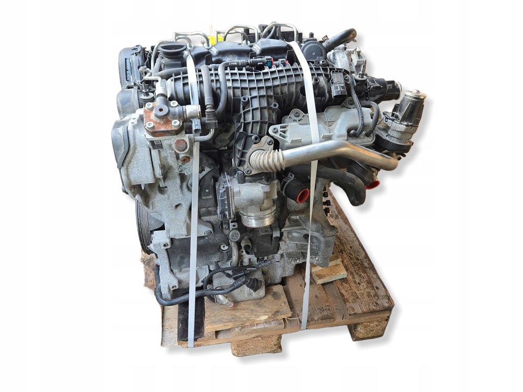 Moteur D 4204 T16 - Image 3