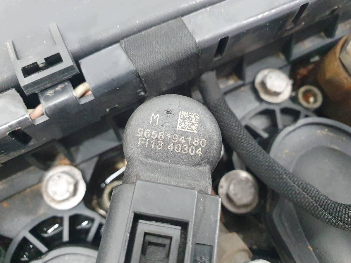 Moteur RHJ (DW10BTED4) - Image 3