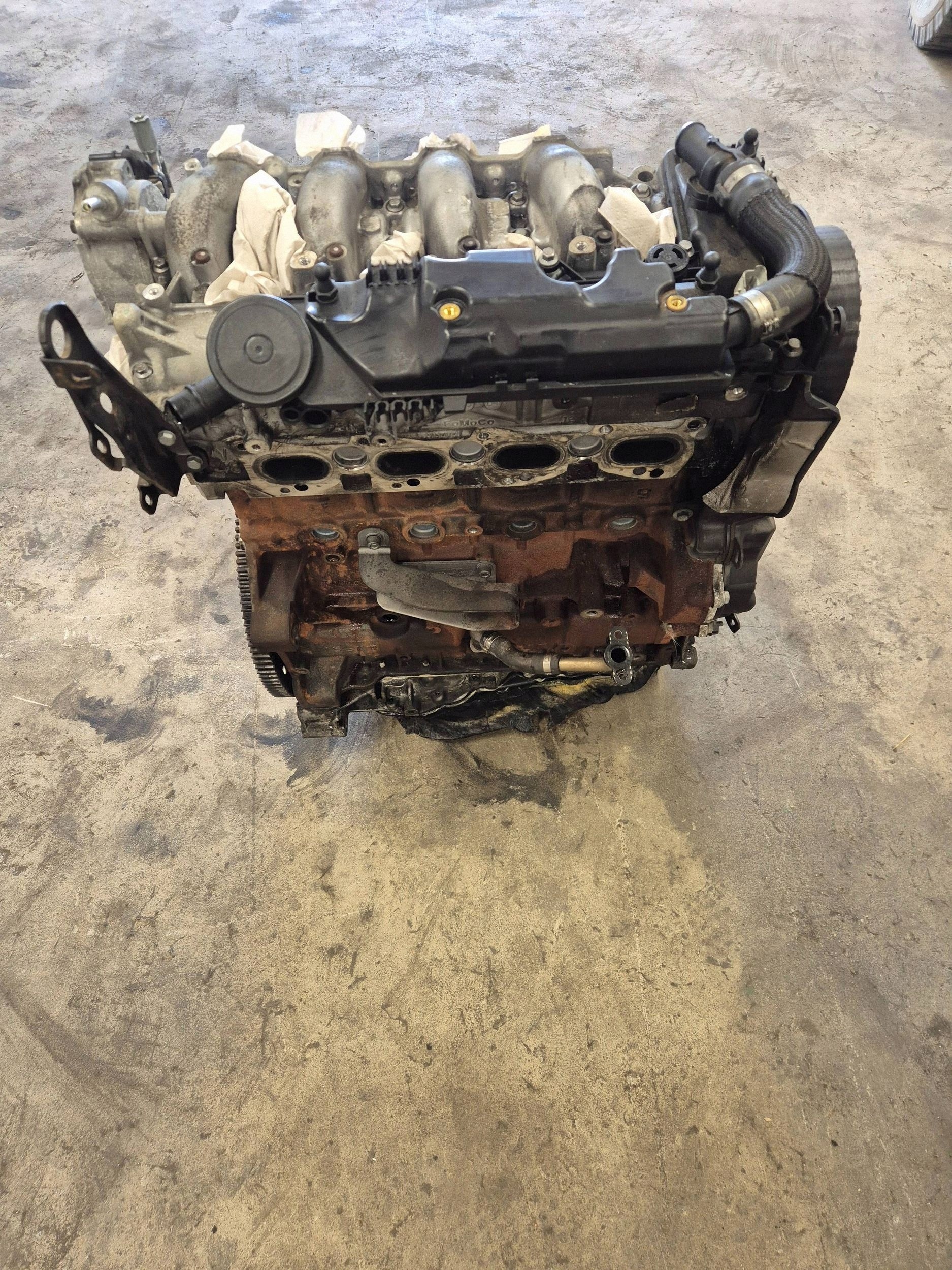 Moteur 224DT(DW12BTED4) - Image 2