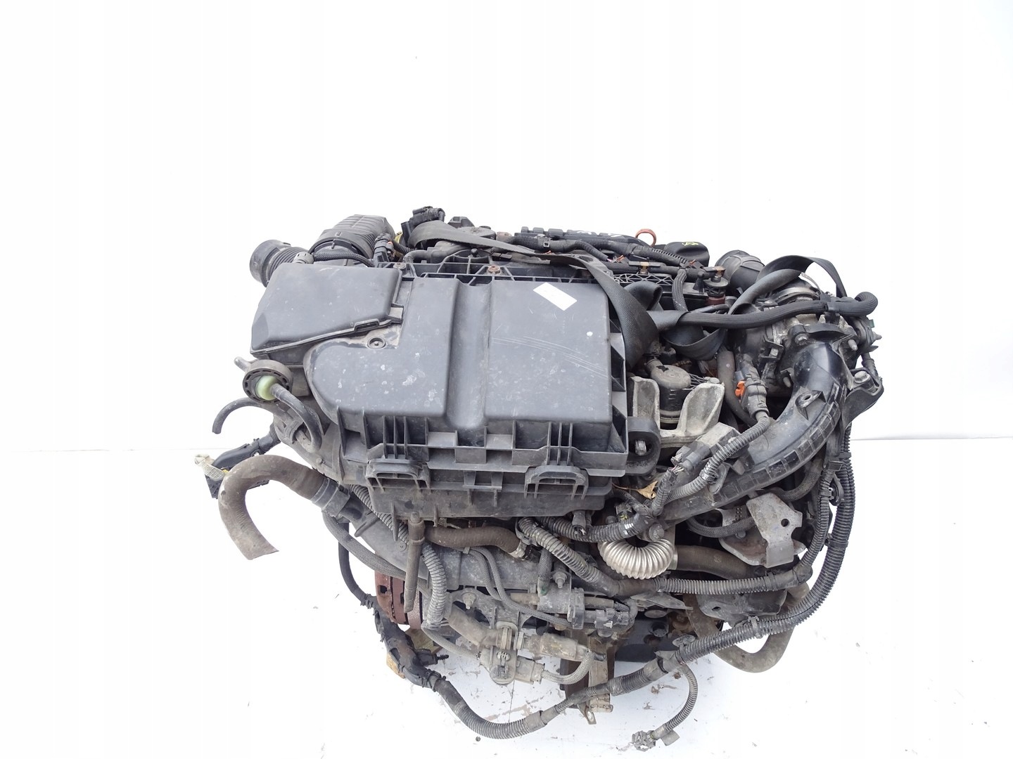 Moteur D 15 DTH (DV5RC) - Image 2