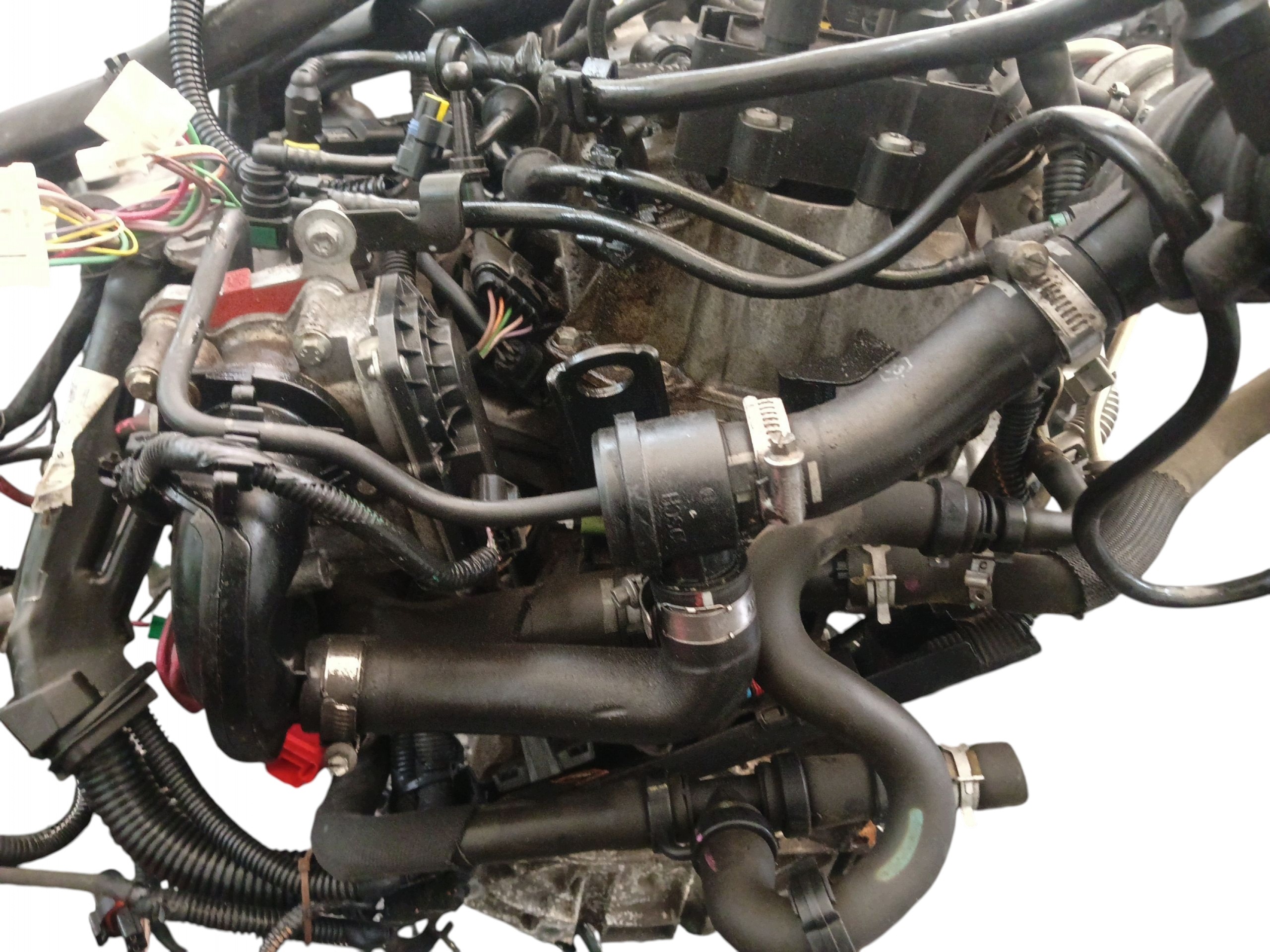 Moteur D4F 784 - Image 11