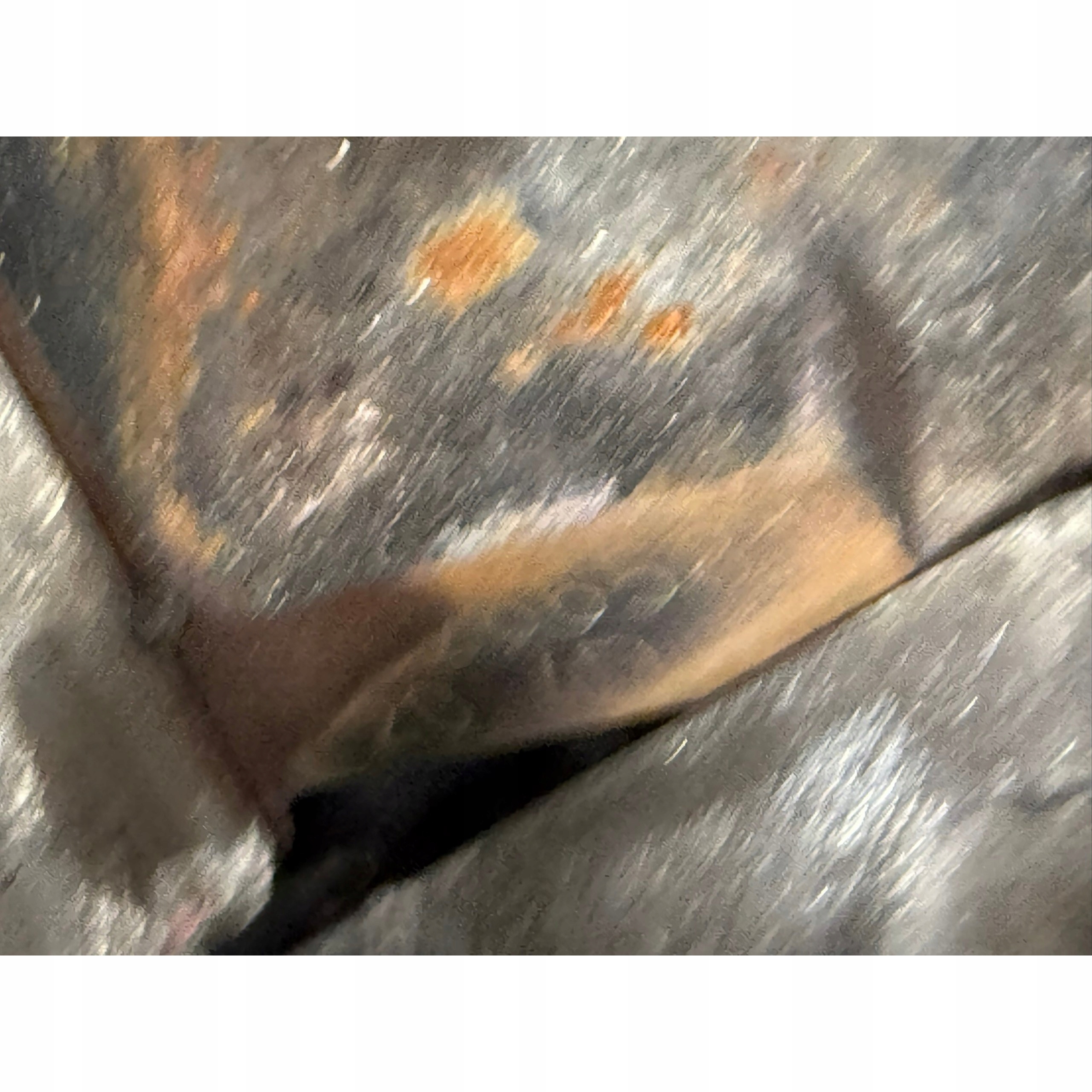 Moteur M47 D20 (204D4) — vue 2
