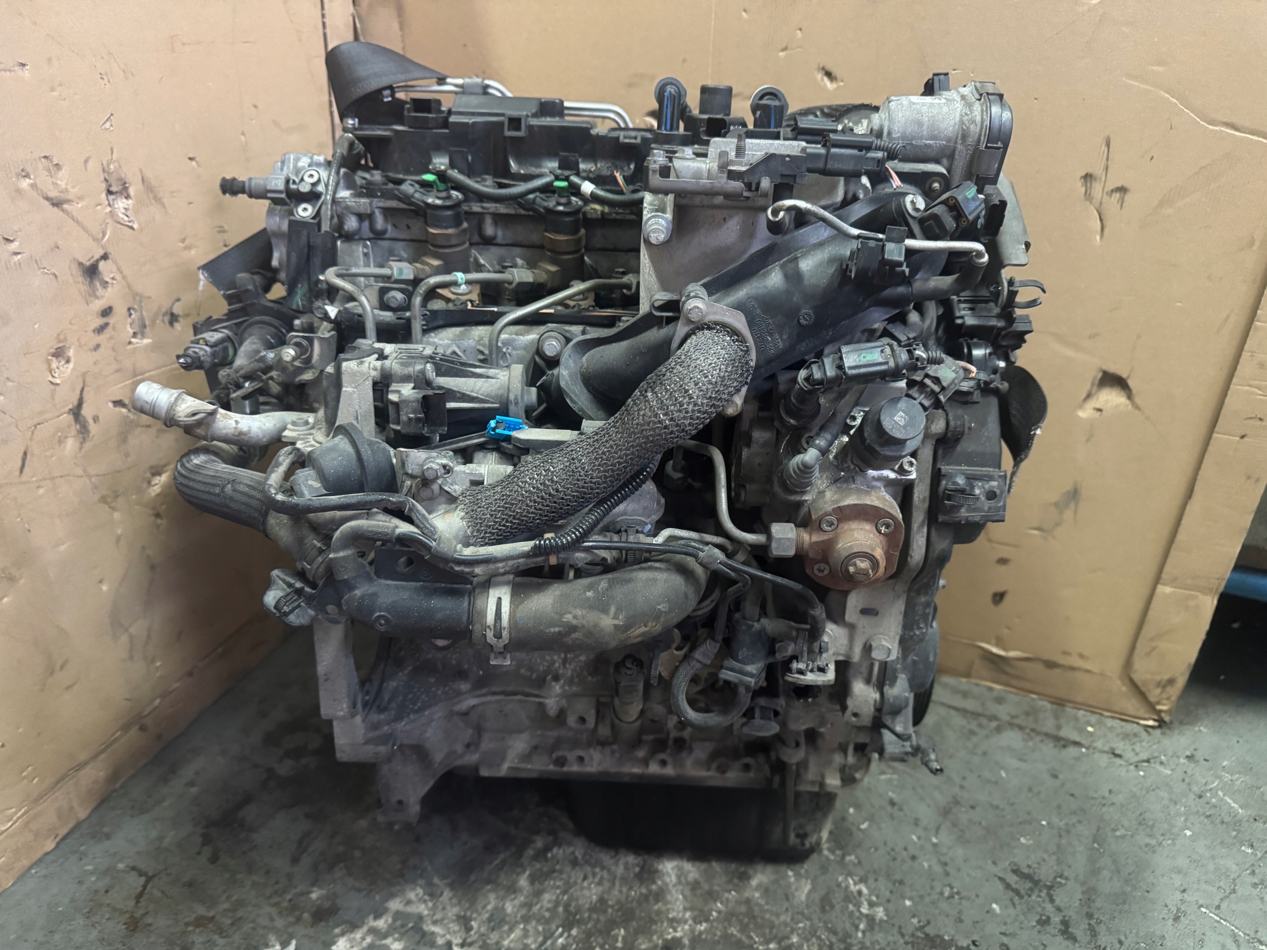 Moteur 8HR (DV4C) - Image 4