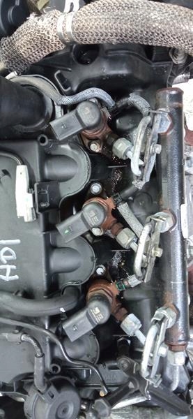 Moteur 4HR (DW12BTED4) - Image 2