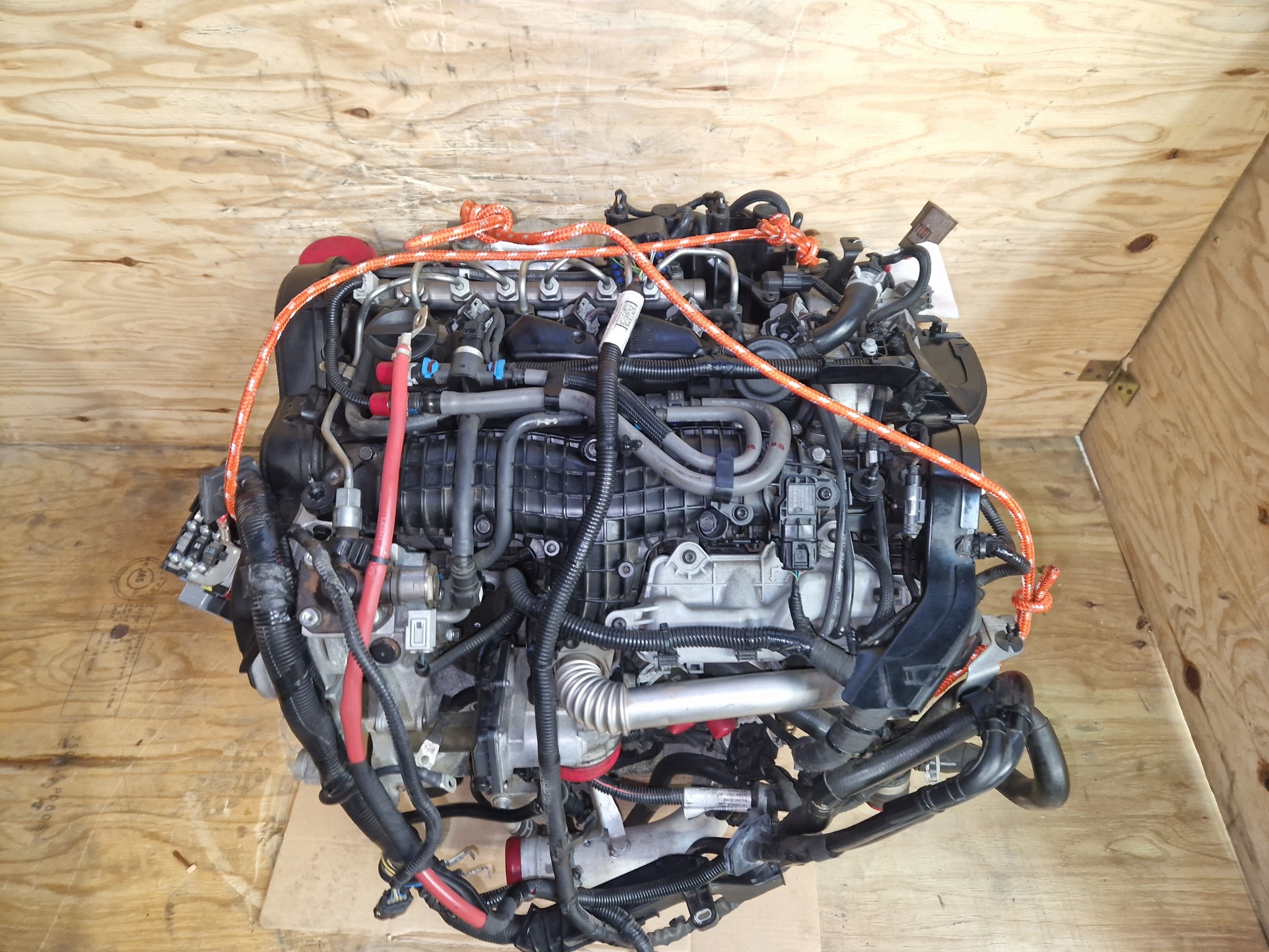 Moteur D 4204 T14 - Image 3