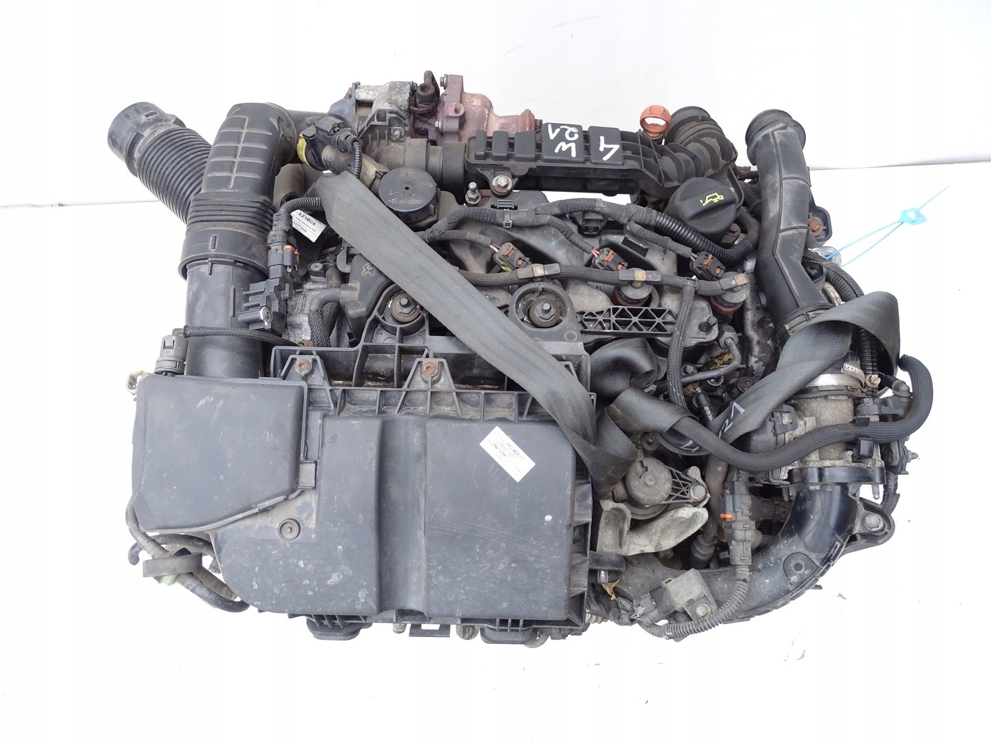 Moteur D 15 DTH (DV5RC) - Image 3