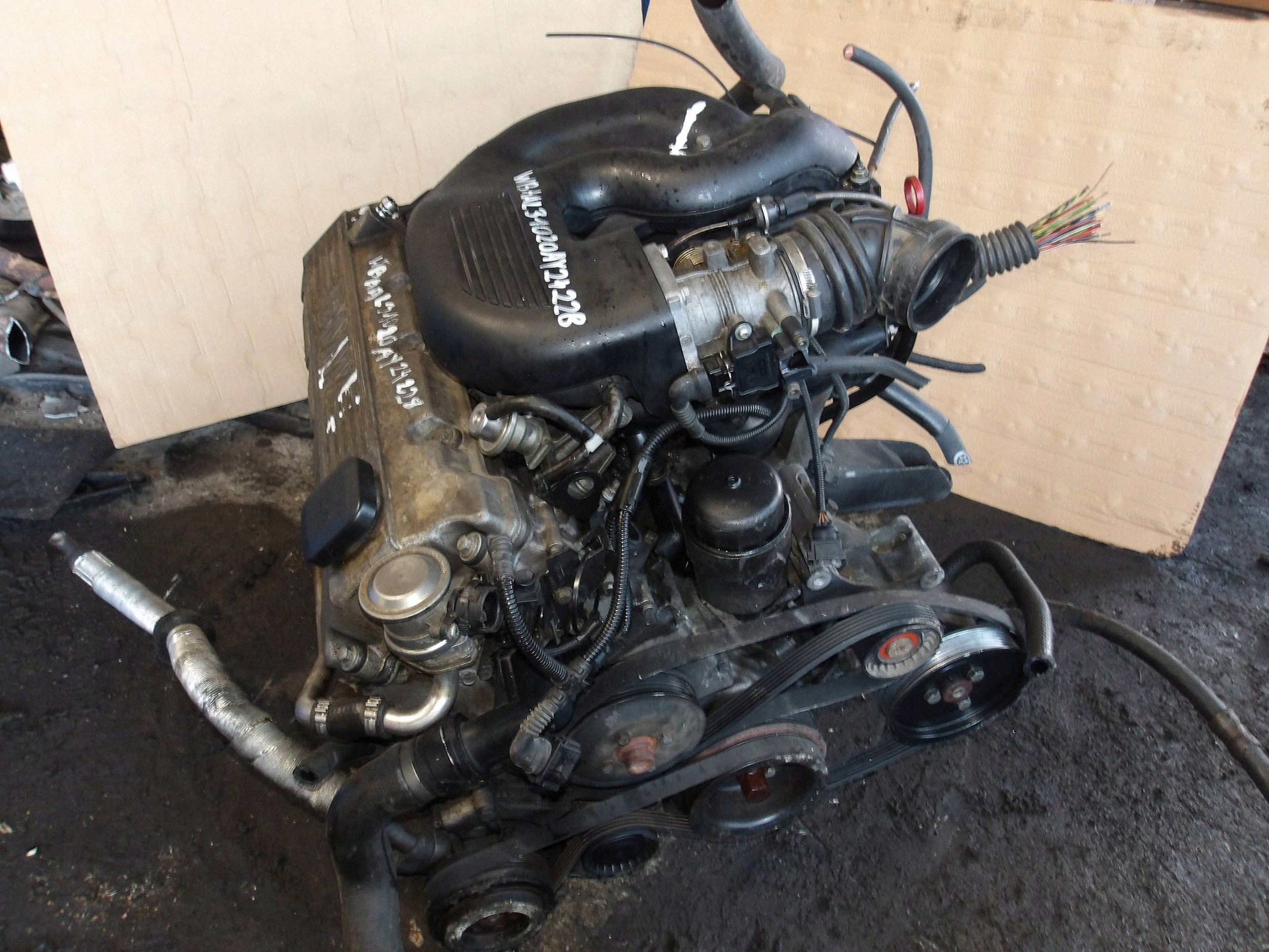Moteur M43 B19 (194E1) - Image 4
