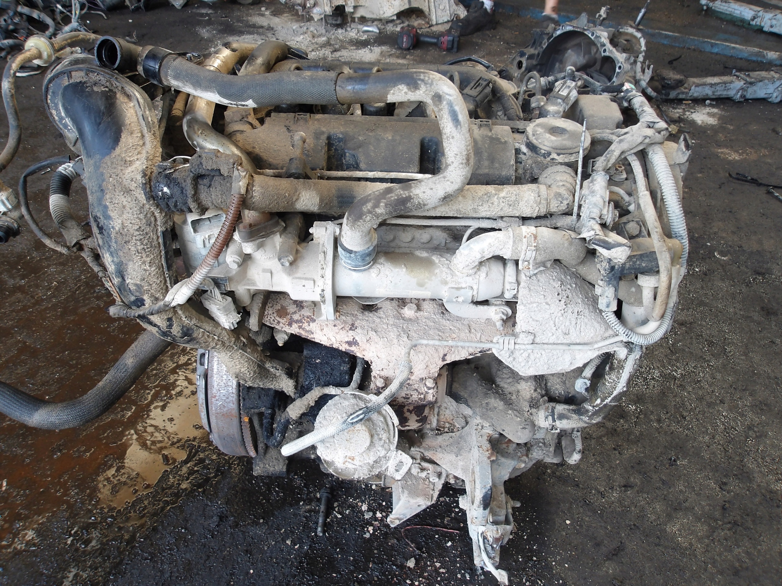 Moteur RHK (DW10UTED4) - Image 3