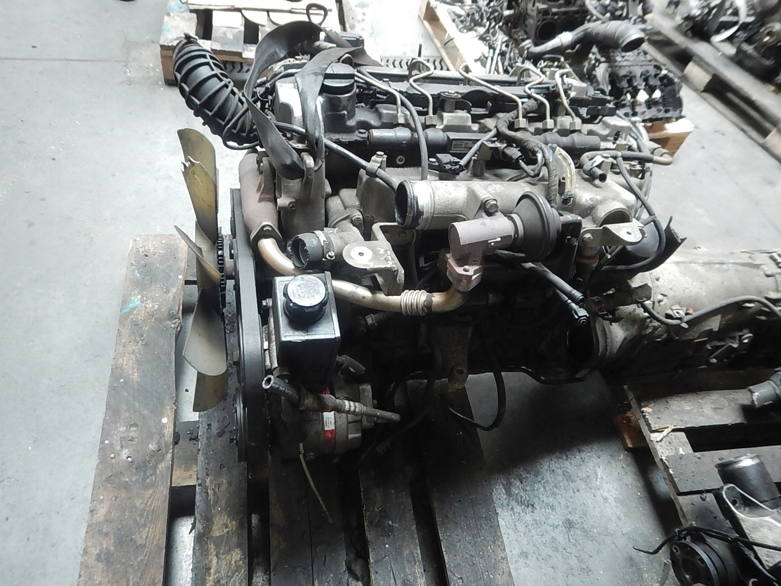 Moteur D20DTR - Image 3
