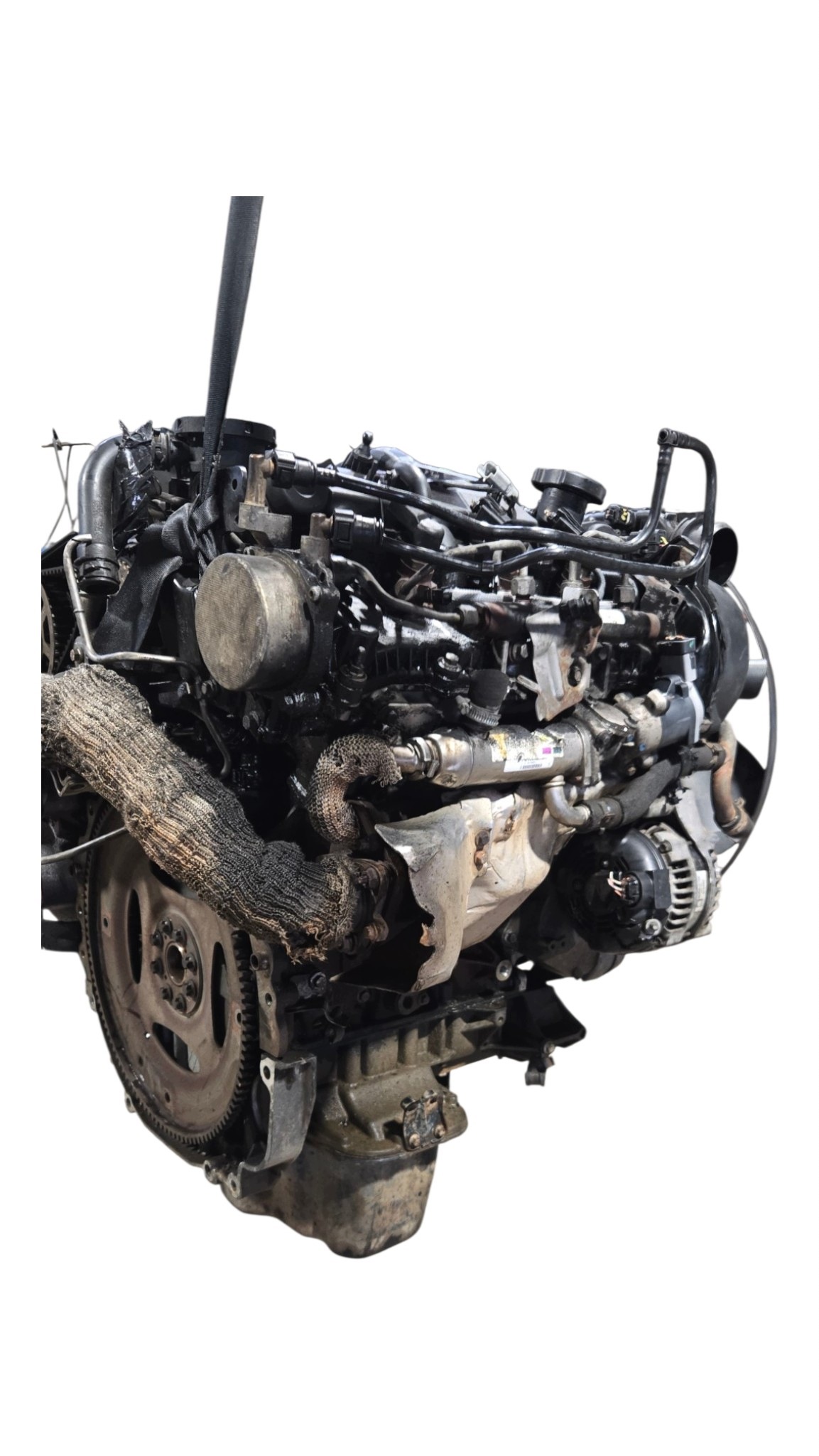 Moteur 276DT(TDV6) - Image 5