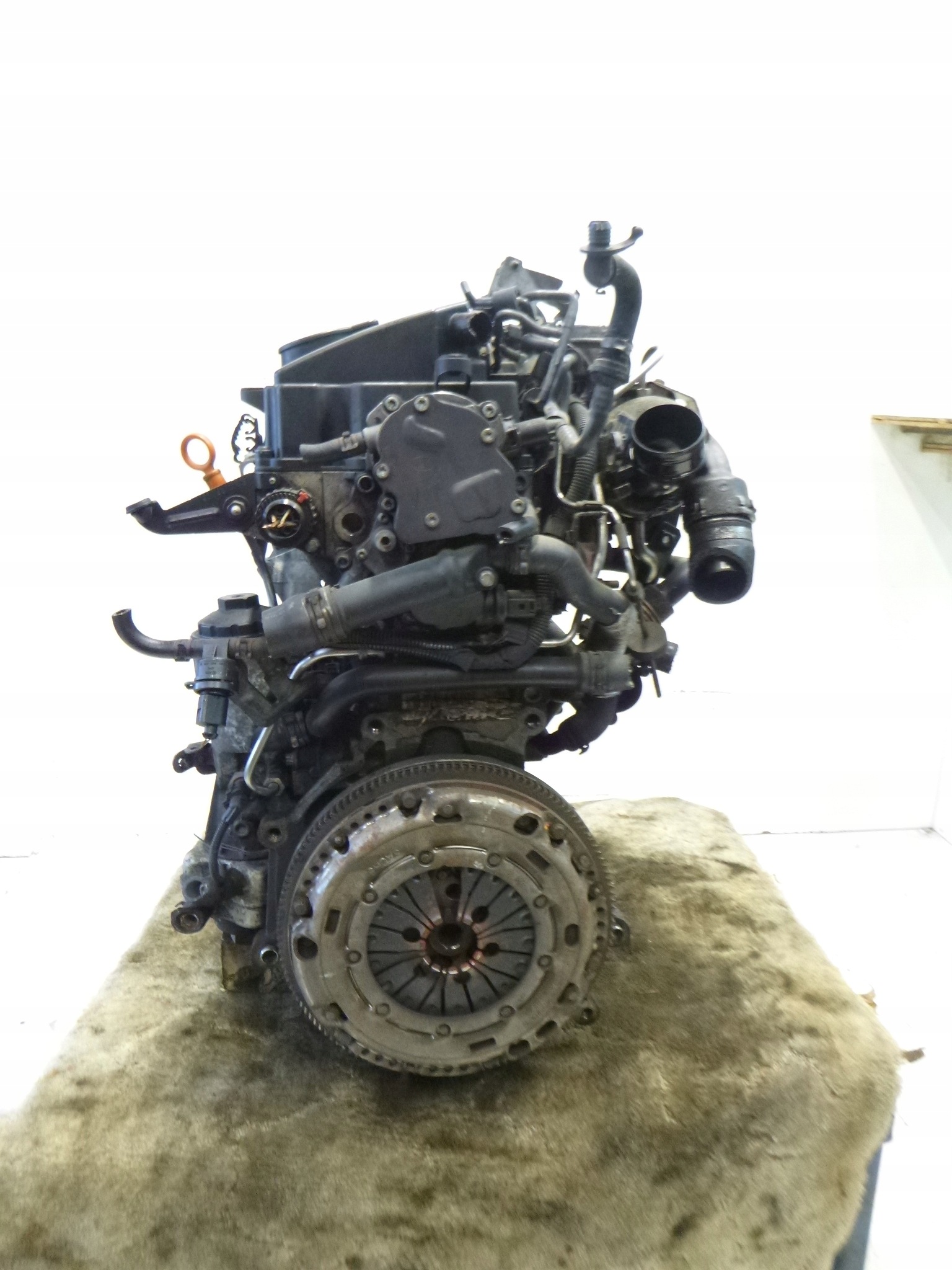 Moteur BLS - Image 5
