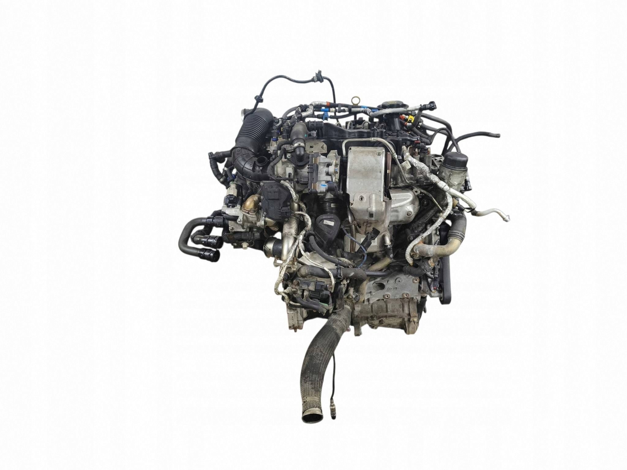Moteur 204DTD(AJ20D4) - Image 3
