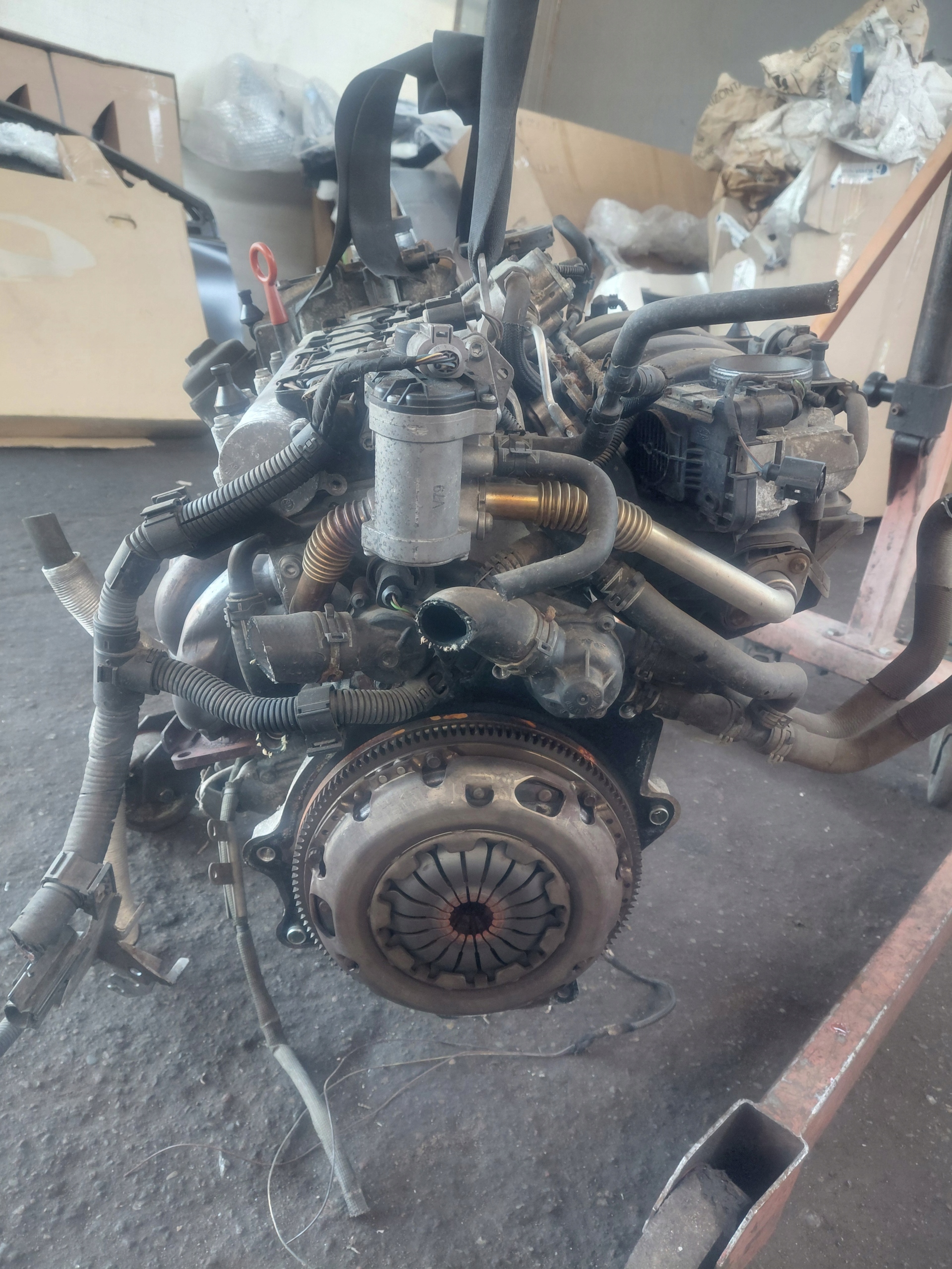 Moteur BLF - Image 5