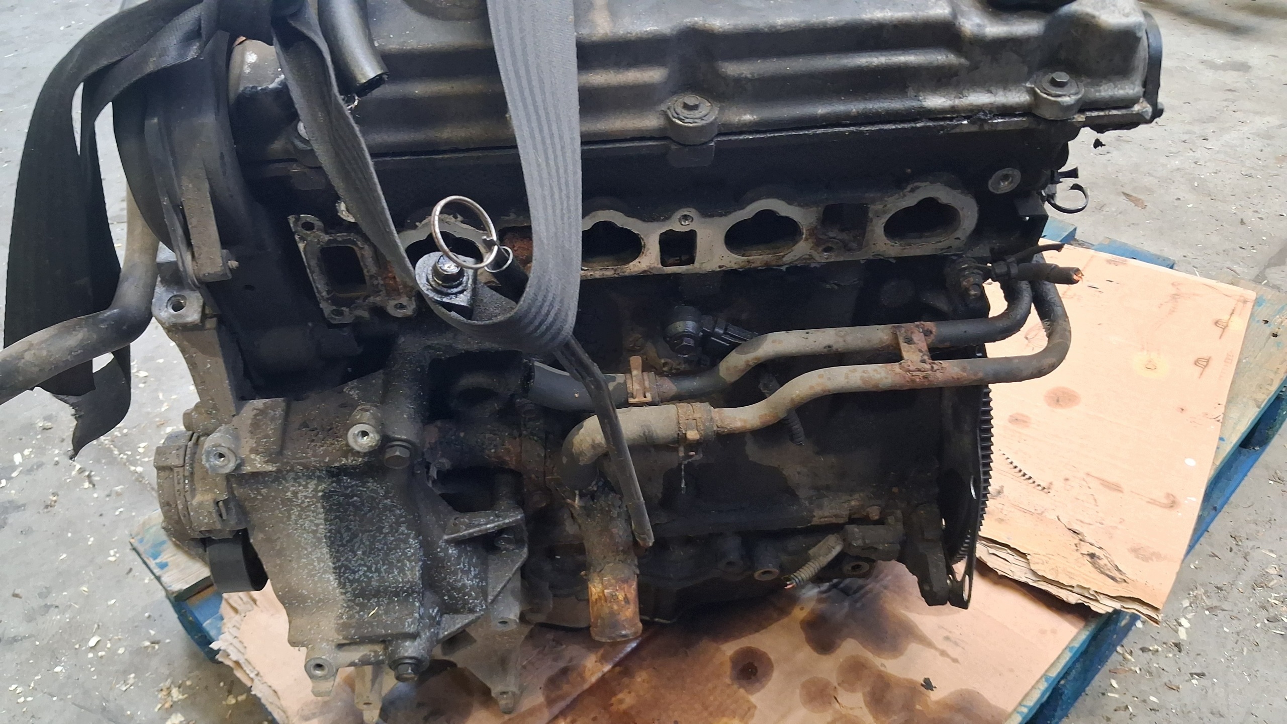 Moteur EDZ - Image 2