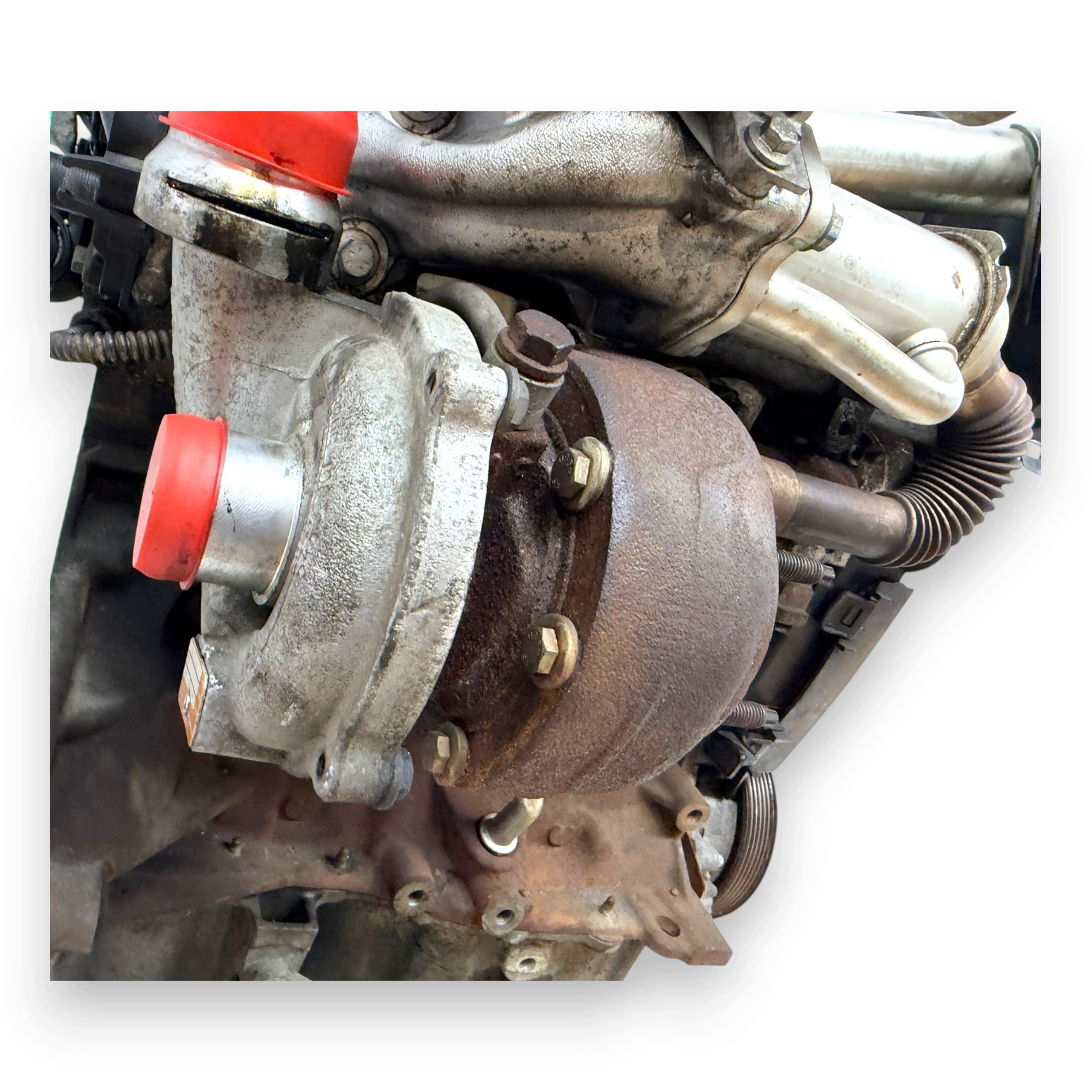 Moteur K9K 282 - Image 11