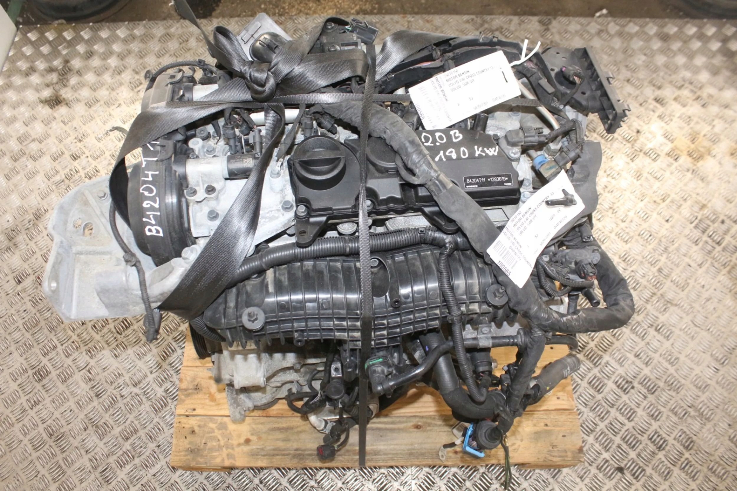Moteur B 4204 T11 - Image 2