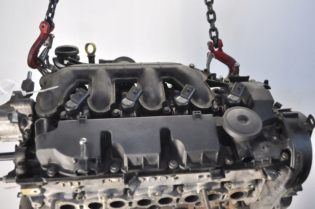 Moteur RHJ (DW10BTED4) - Image 2