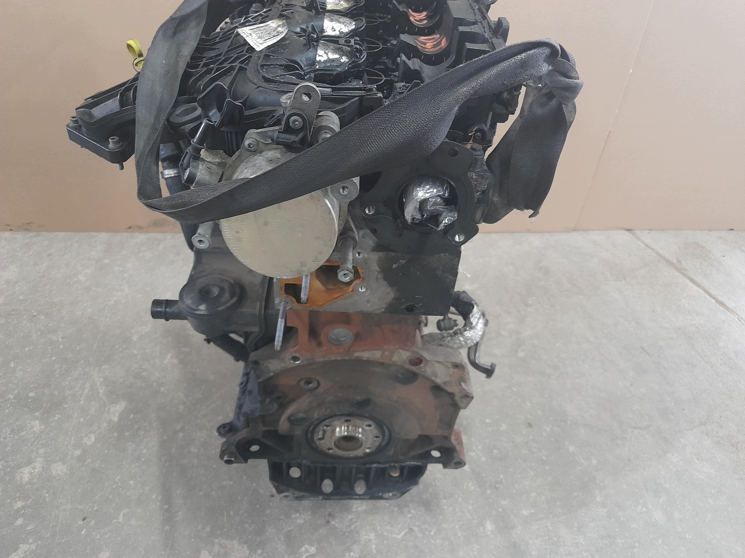 Moteur D 4204 T - Image 2