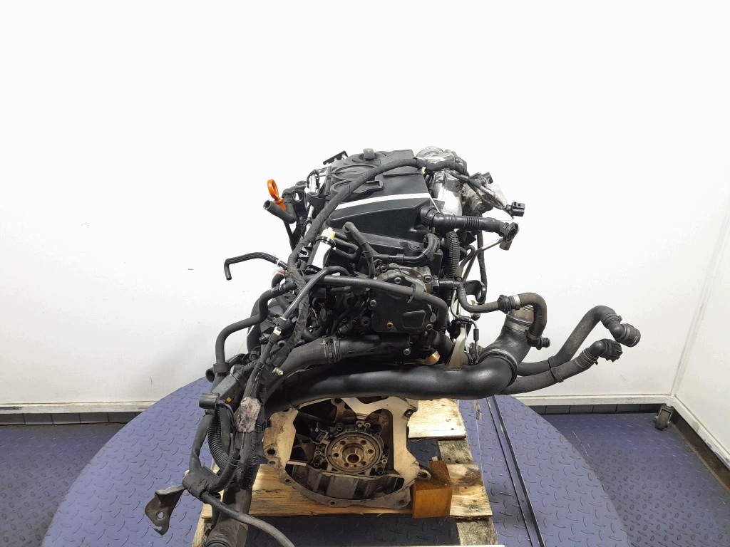 Moteur BLS - Image 4