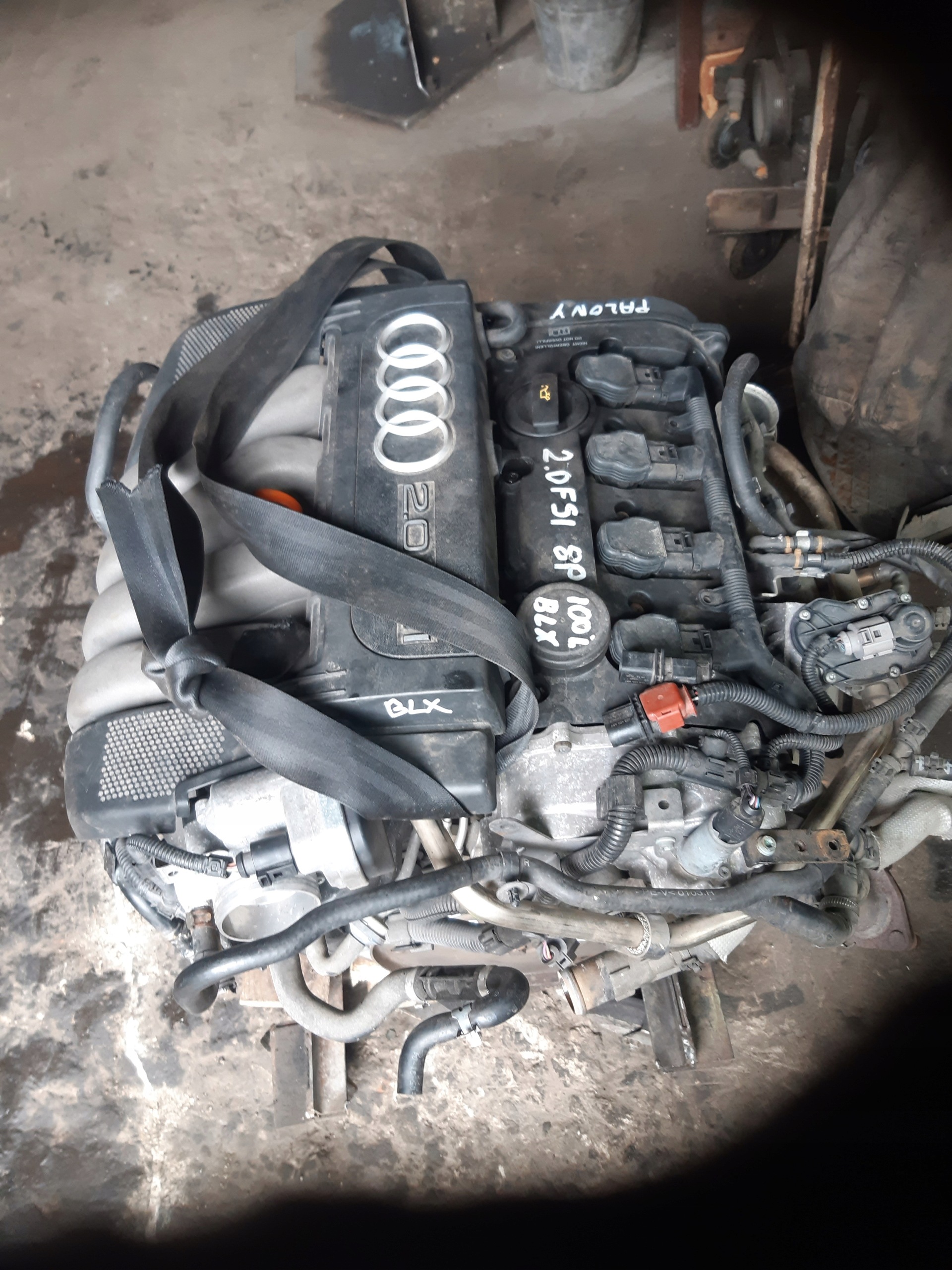 Moteur BLX - Image 3