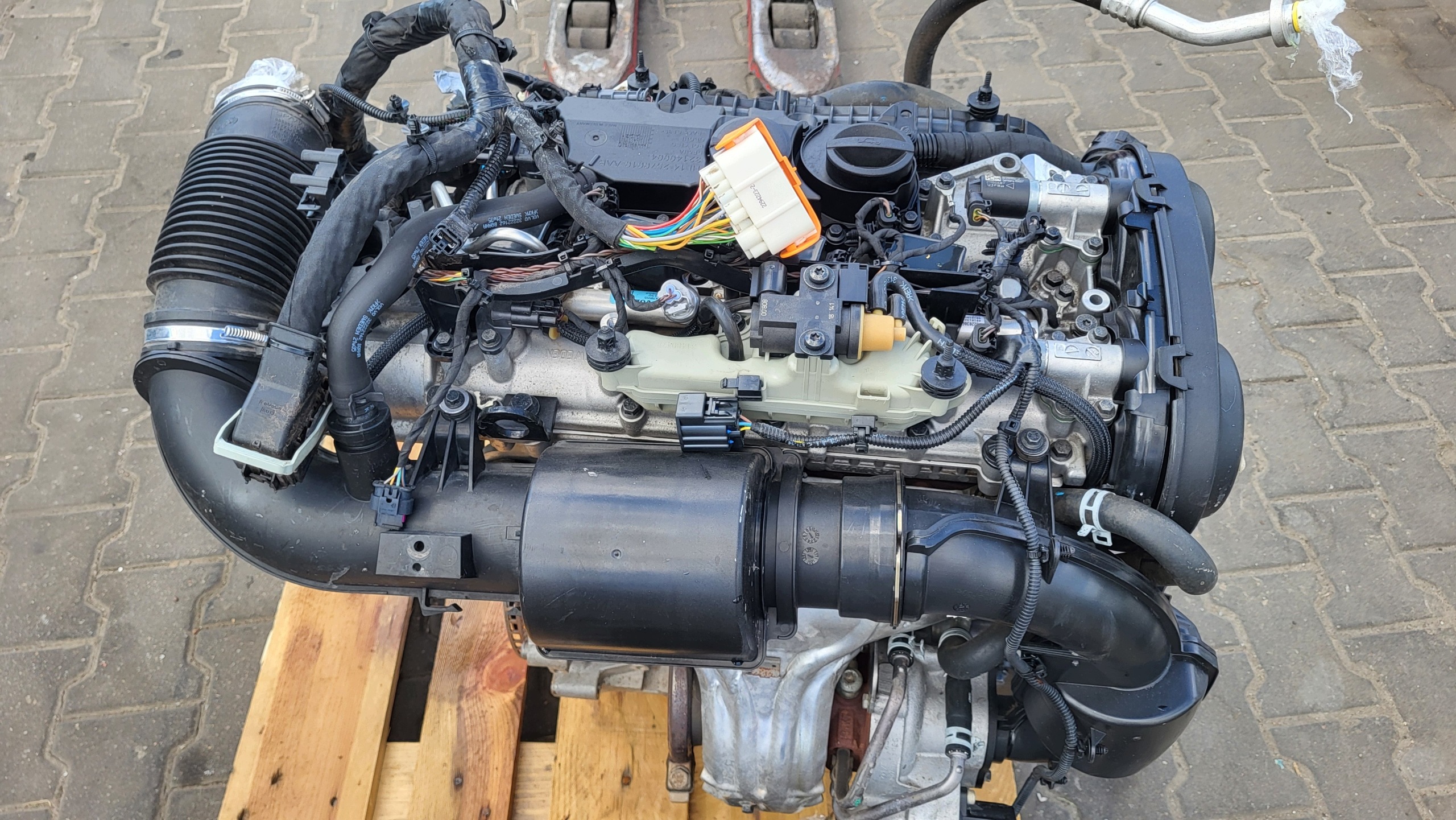 Moteur B 4204 T14 - Image 2