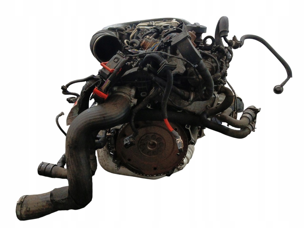 Moteur D 5204 T2 - Image 4