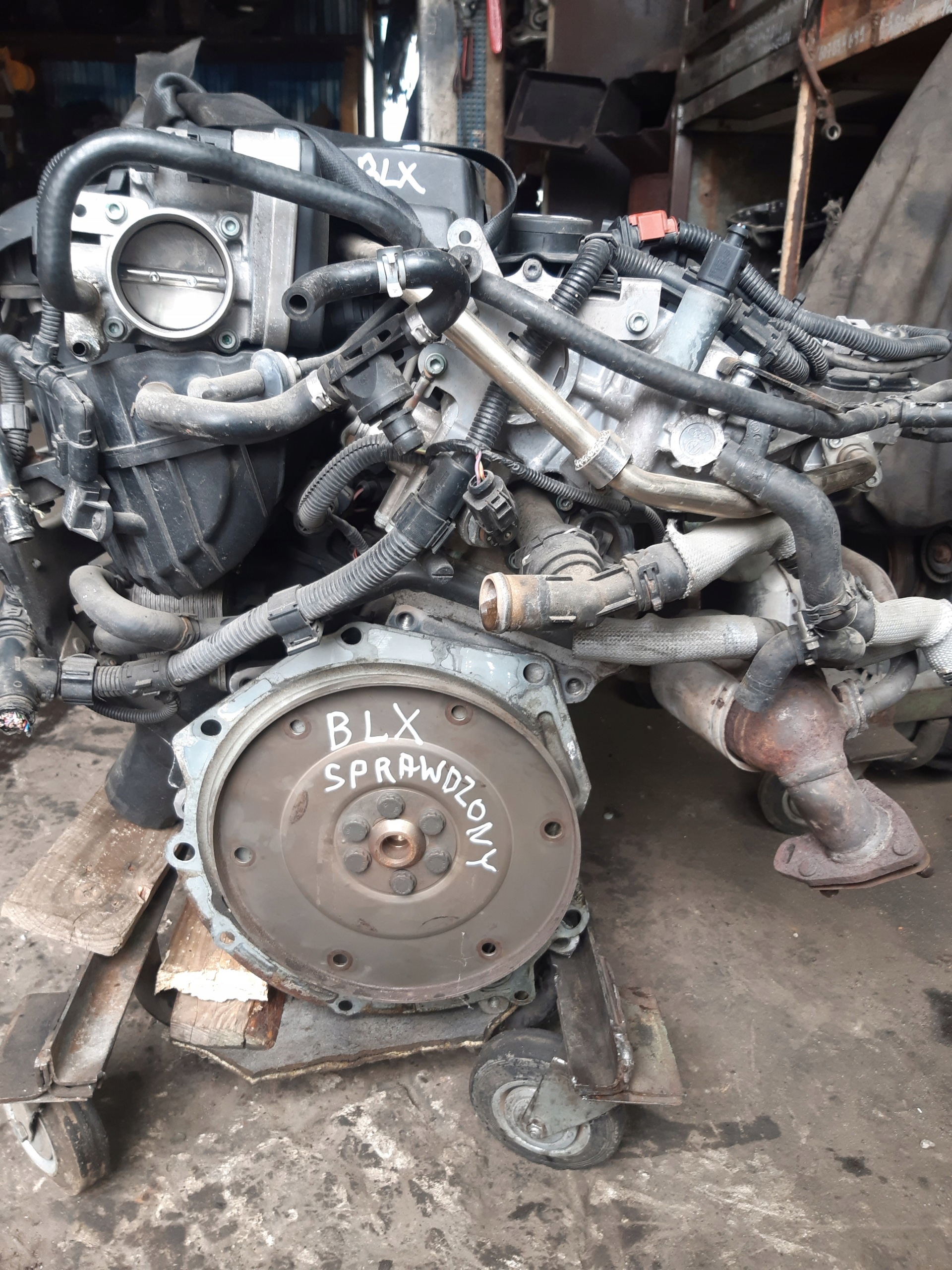 Moteur BLX - Image 1