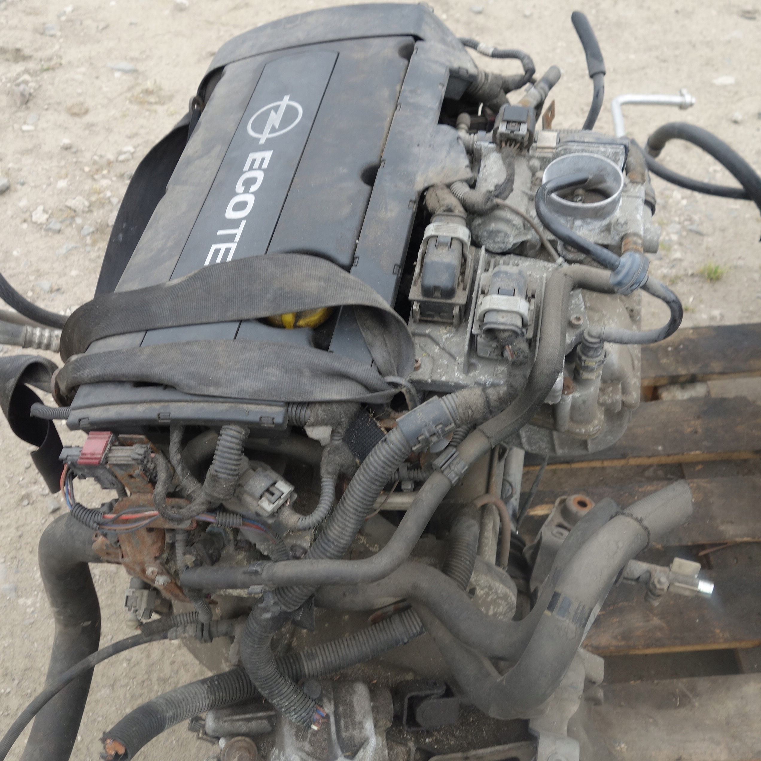 Moteur Z 16 XEP - Image 3