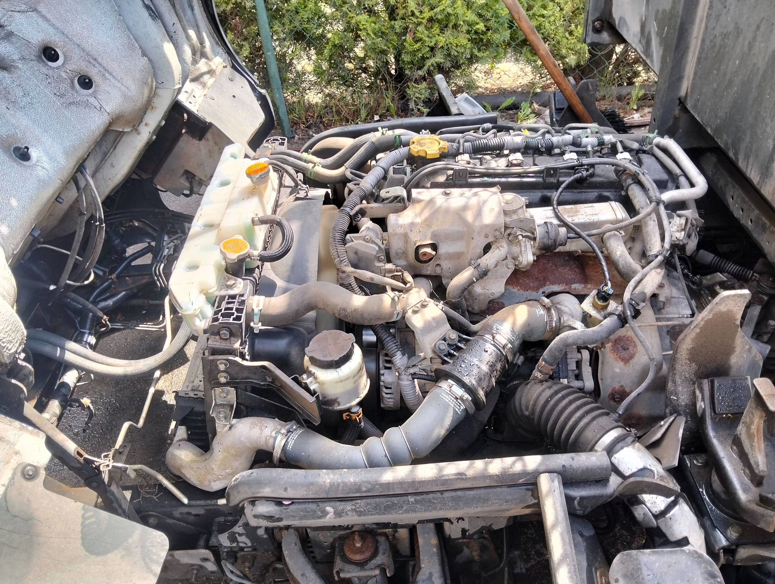 Moteur YD25K3LD-5MI — vue 1