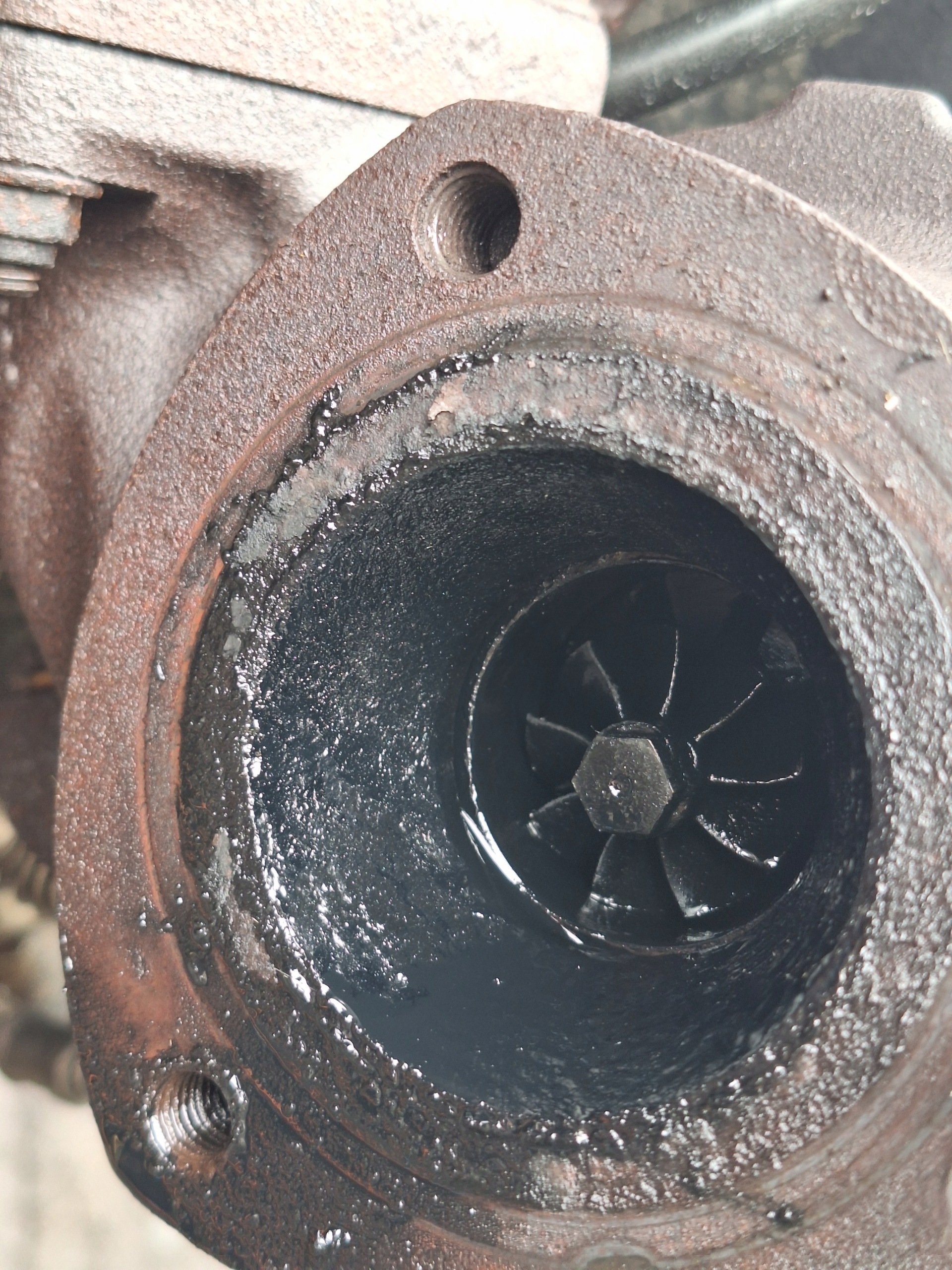 Moteur CVR5 - Image 16