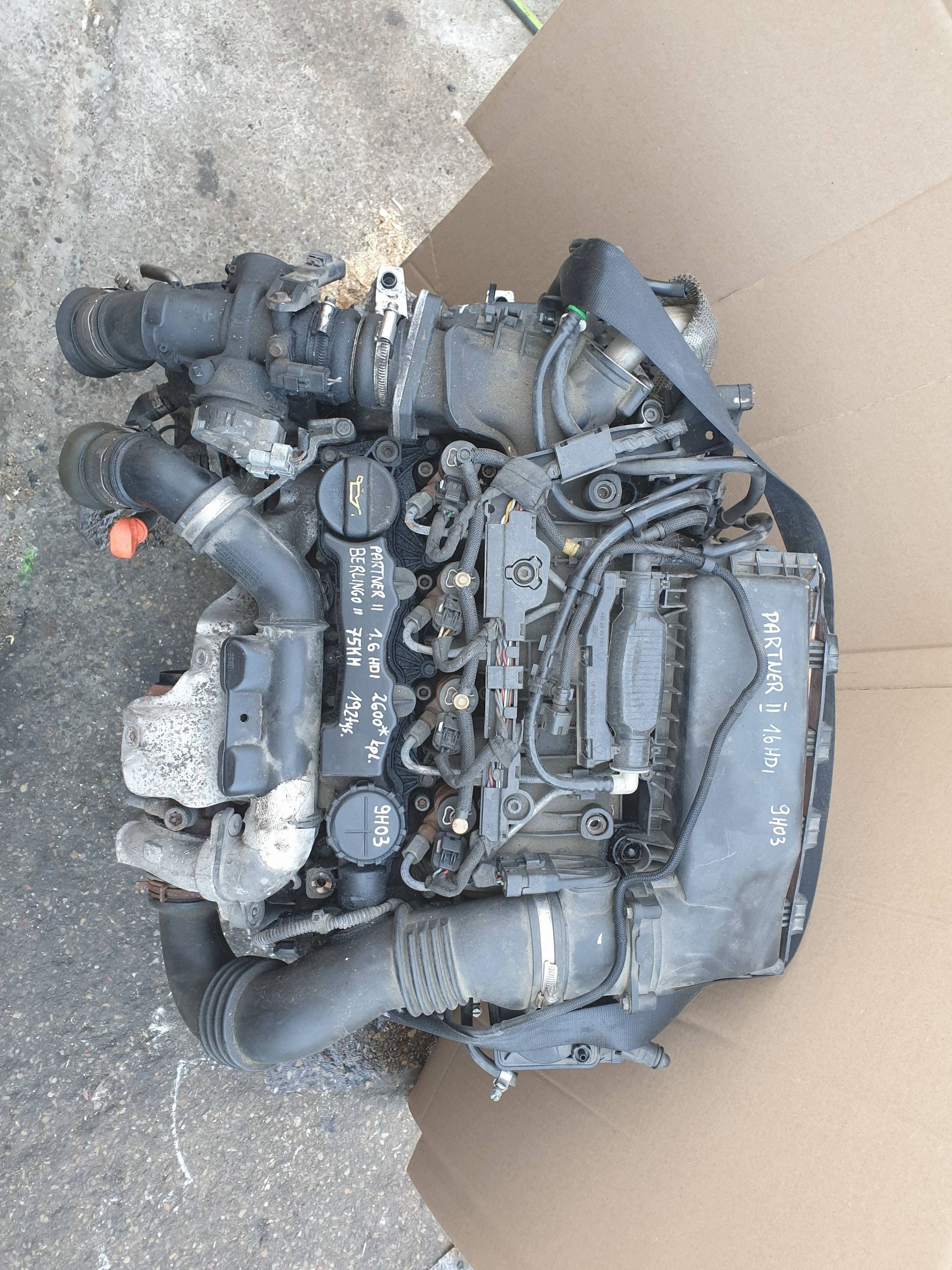 Moteur 9HF (DV6DTED) - Image 2