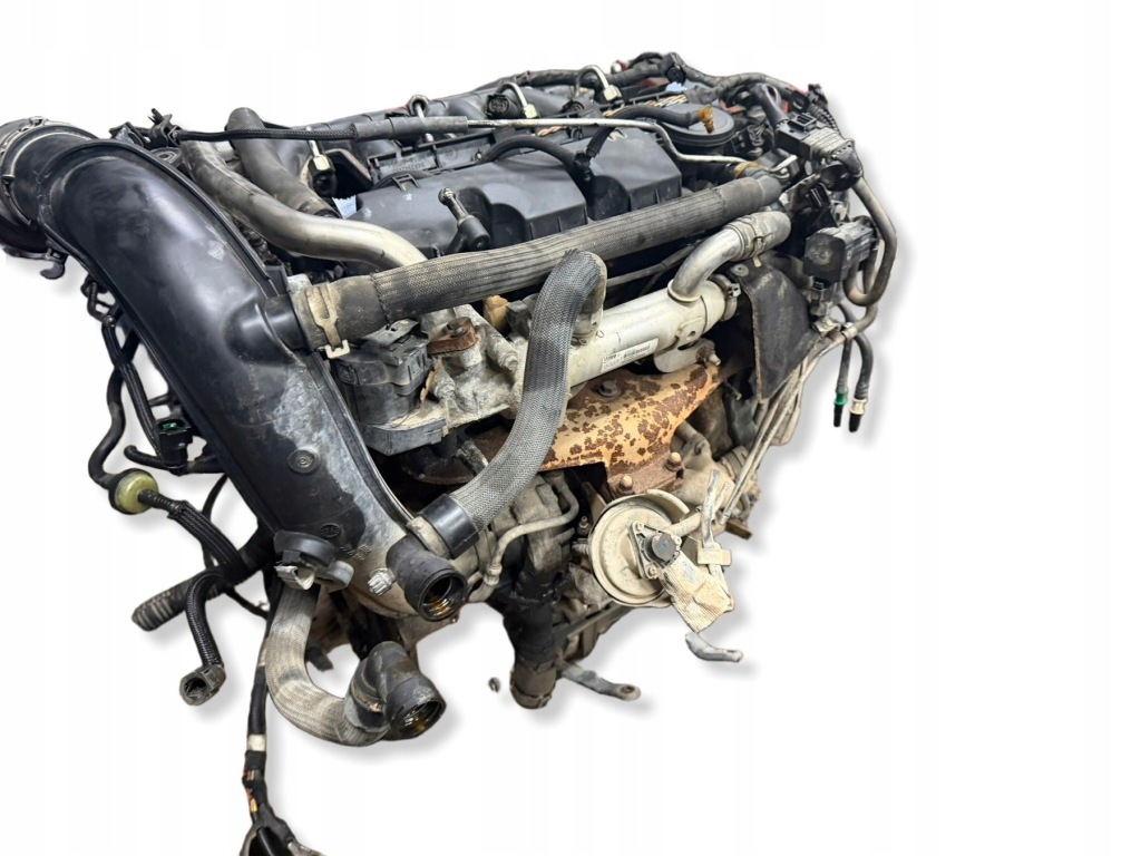 Moteur RHF (DW10BTED4) — vue 2