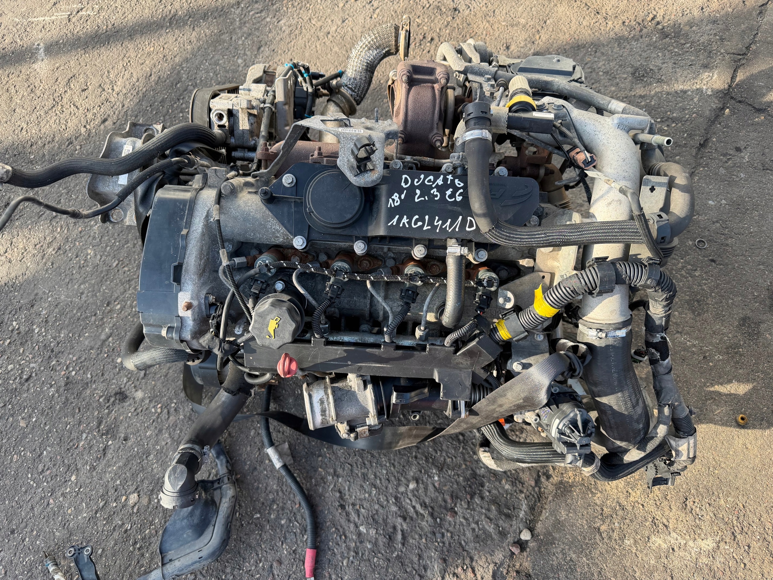 Moteur F1AGL411D - Image 2