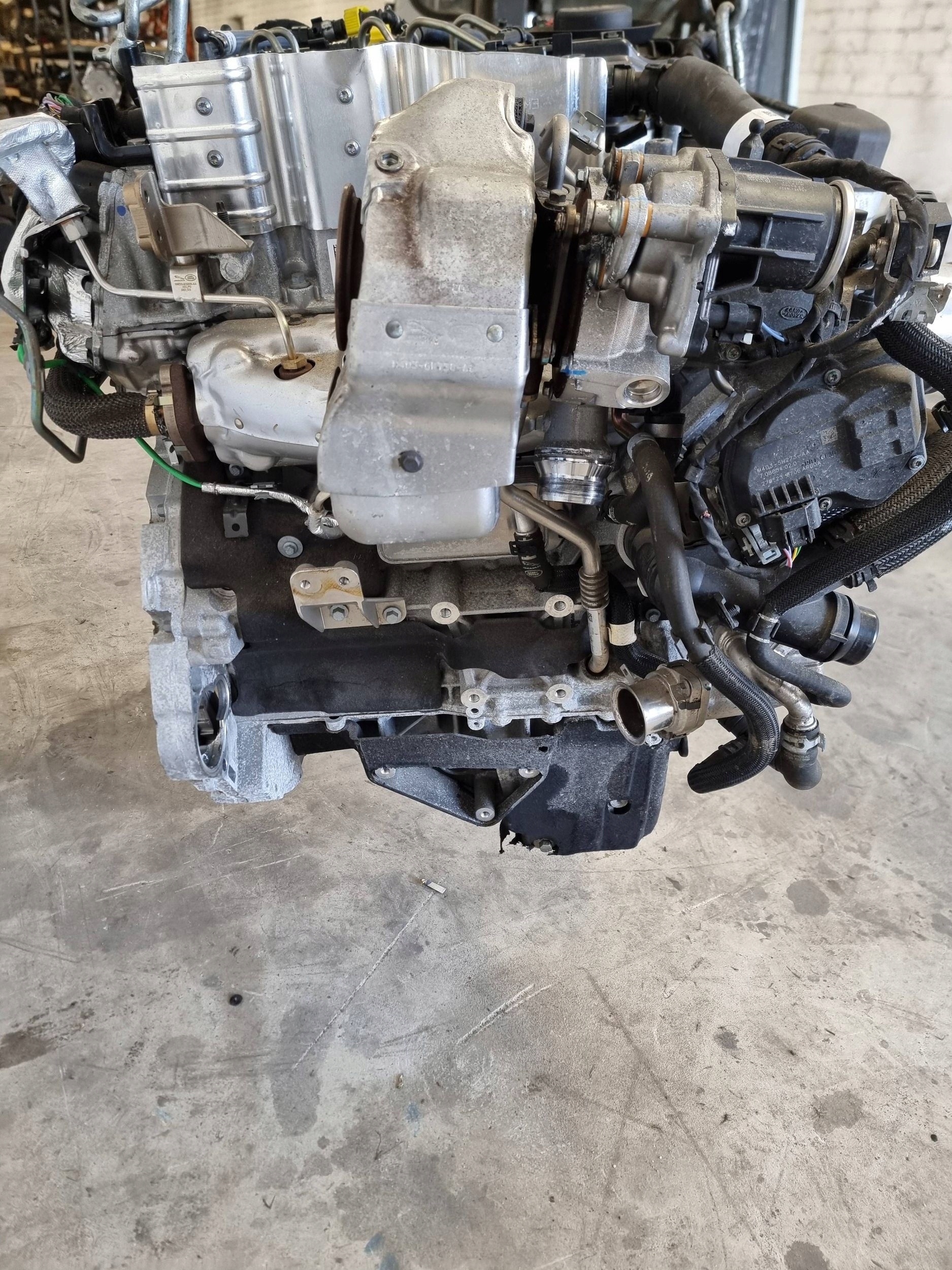 Moteur 204DTY - Image 6
