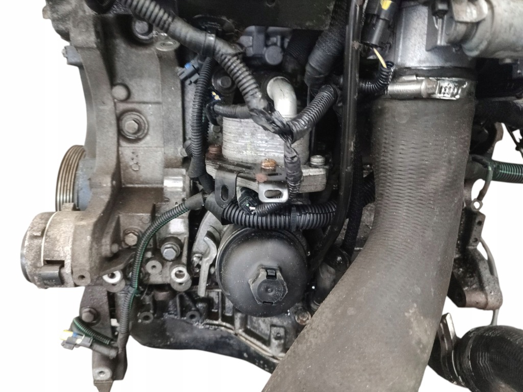Moteur 4HP (DW12BTED4) — vue 6