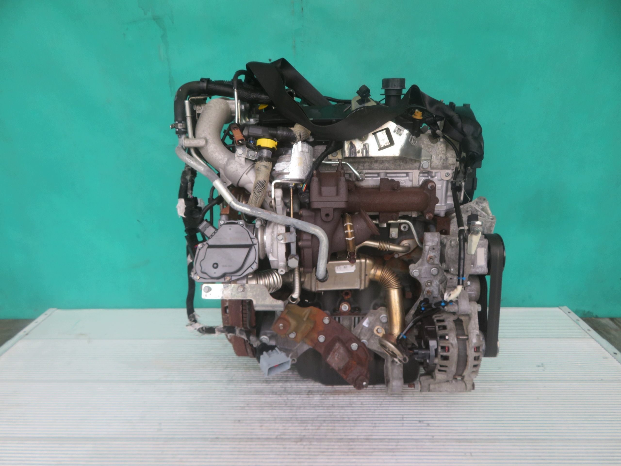 Moteur F1AGL411C - Image 6