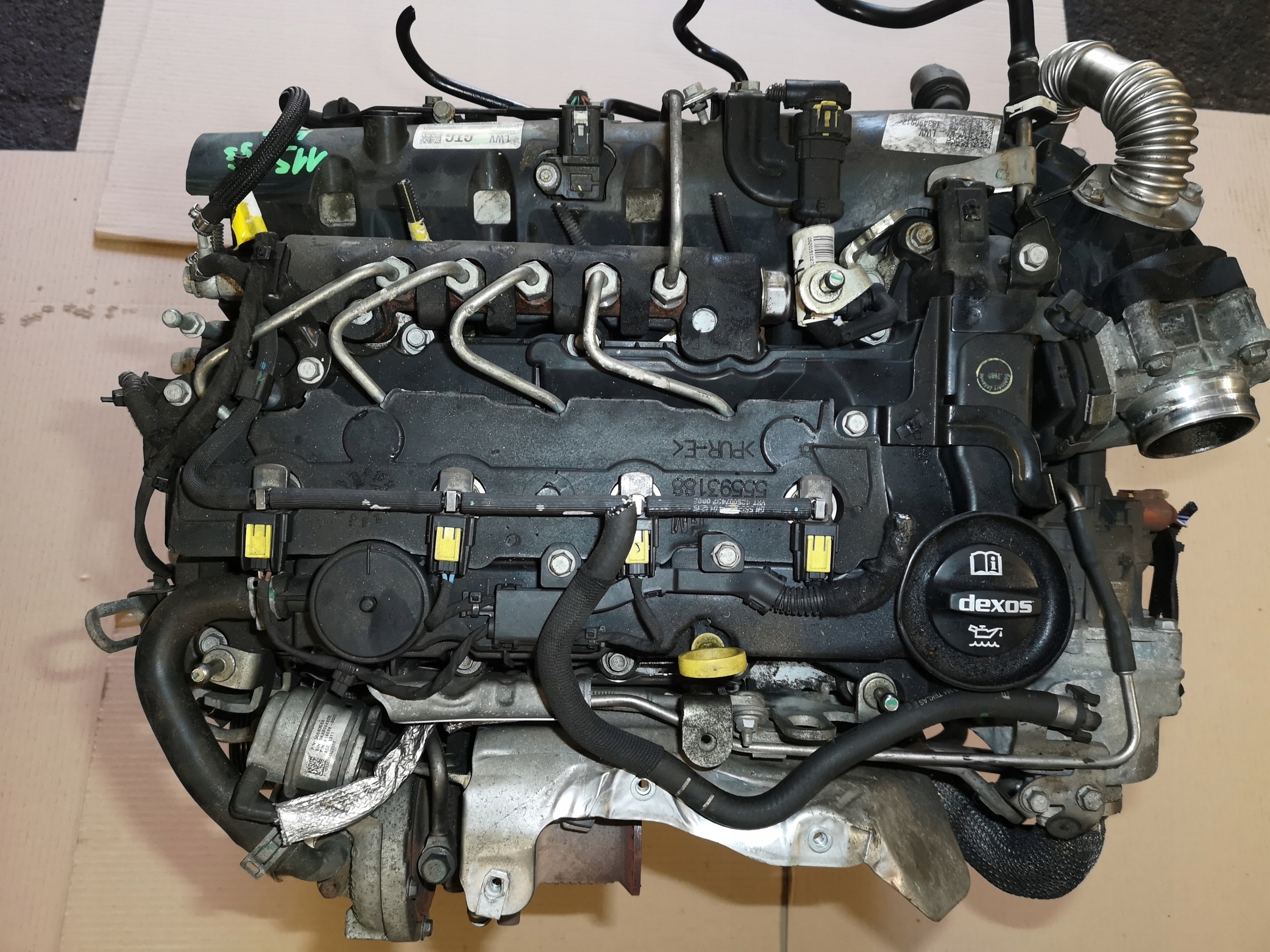 Moteur B 16 DTH - Image 2
