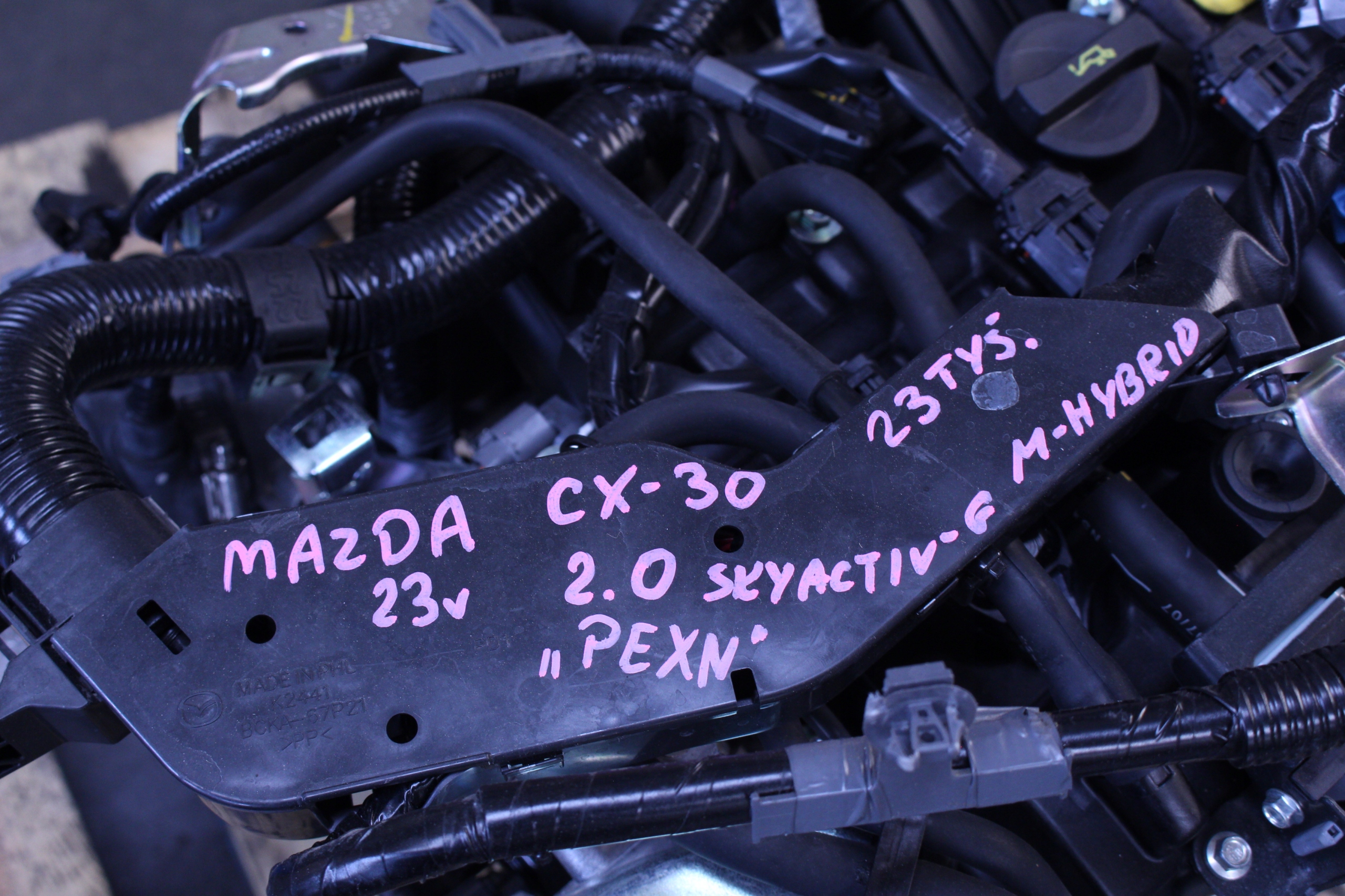 Moteur PEXN - Image 5
