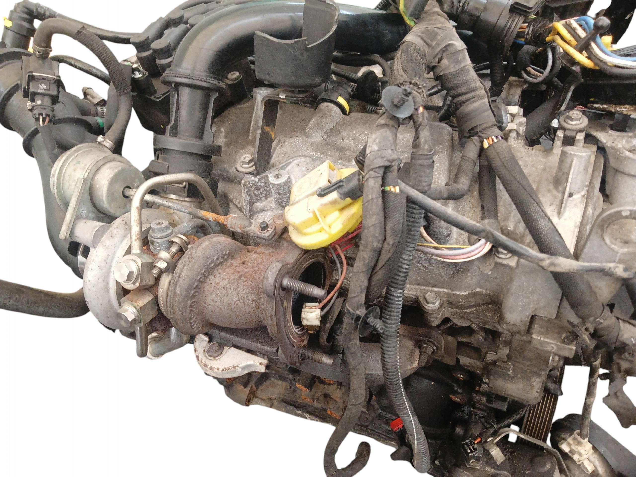 Moteur D4F 784 - Image 9