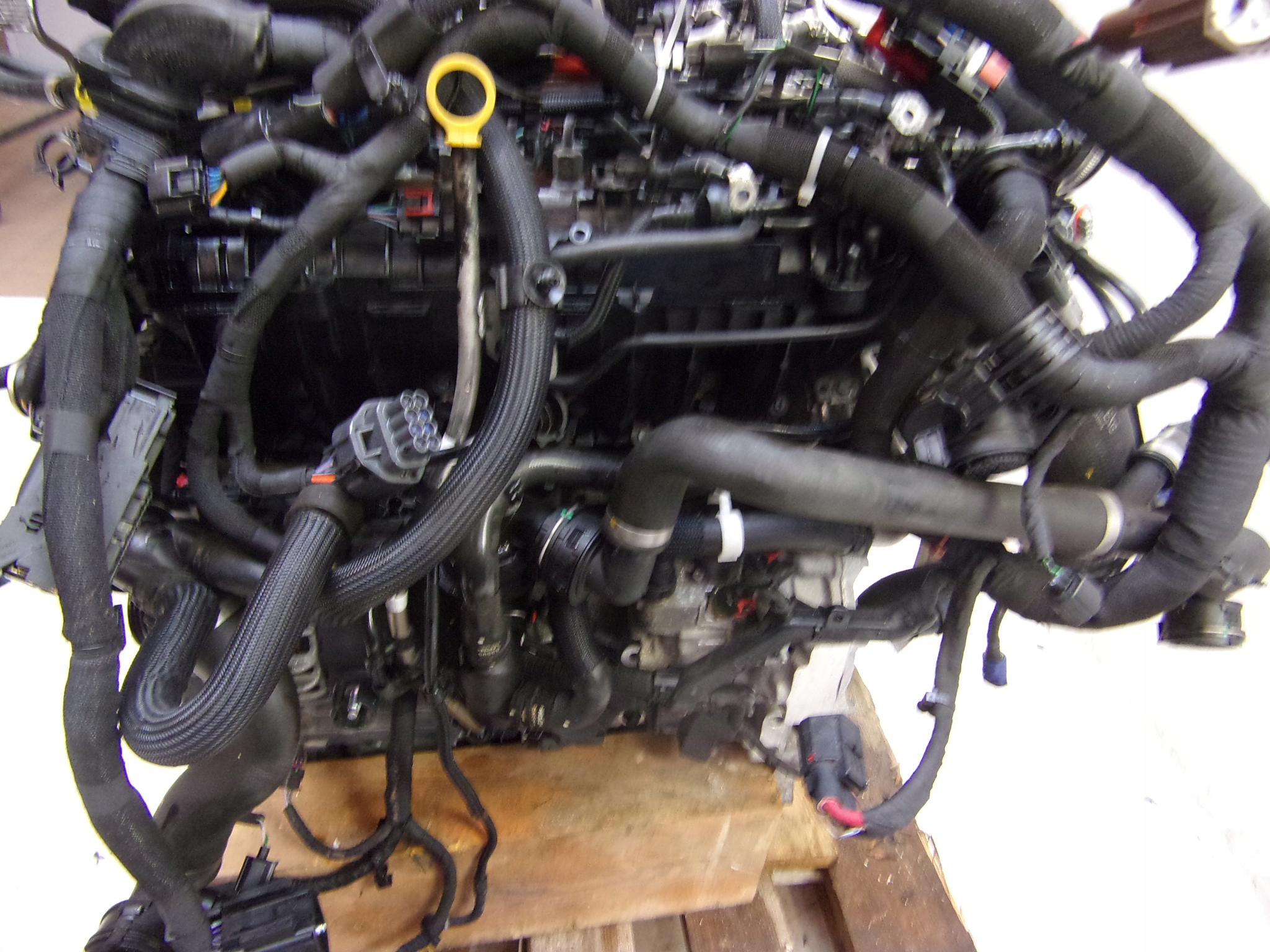 Moteur 204DTA(AJ20D4) - Image 3
