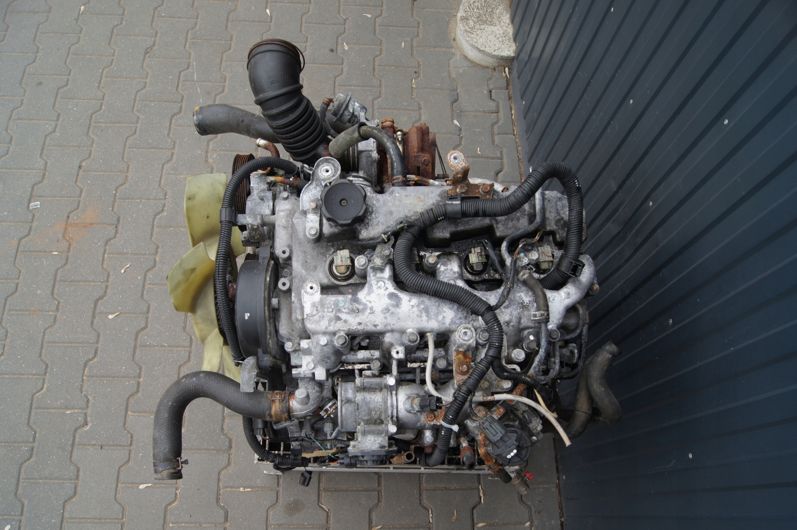 Moteur 4D56 (16V) — vue 2