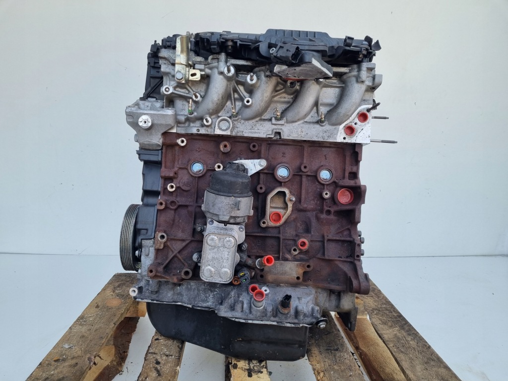 Moteur RHH (DW10CTED4) - Image 3