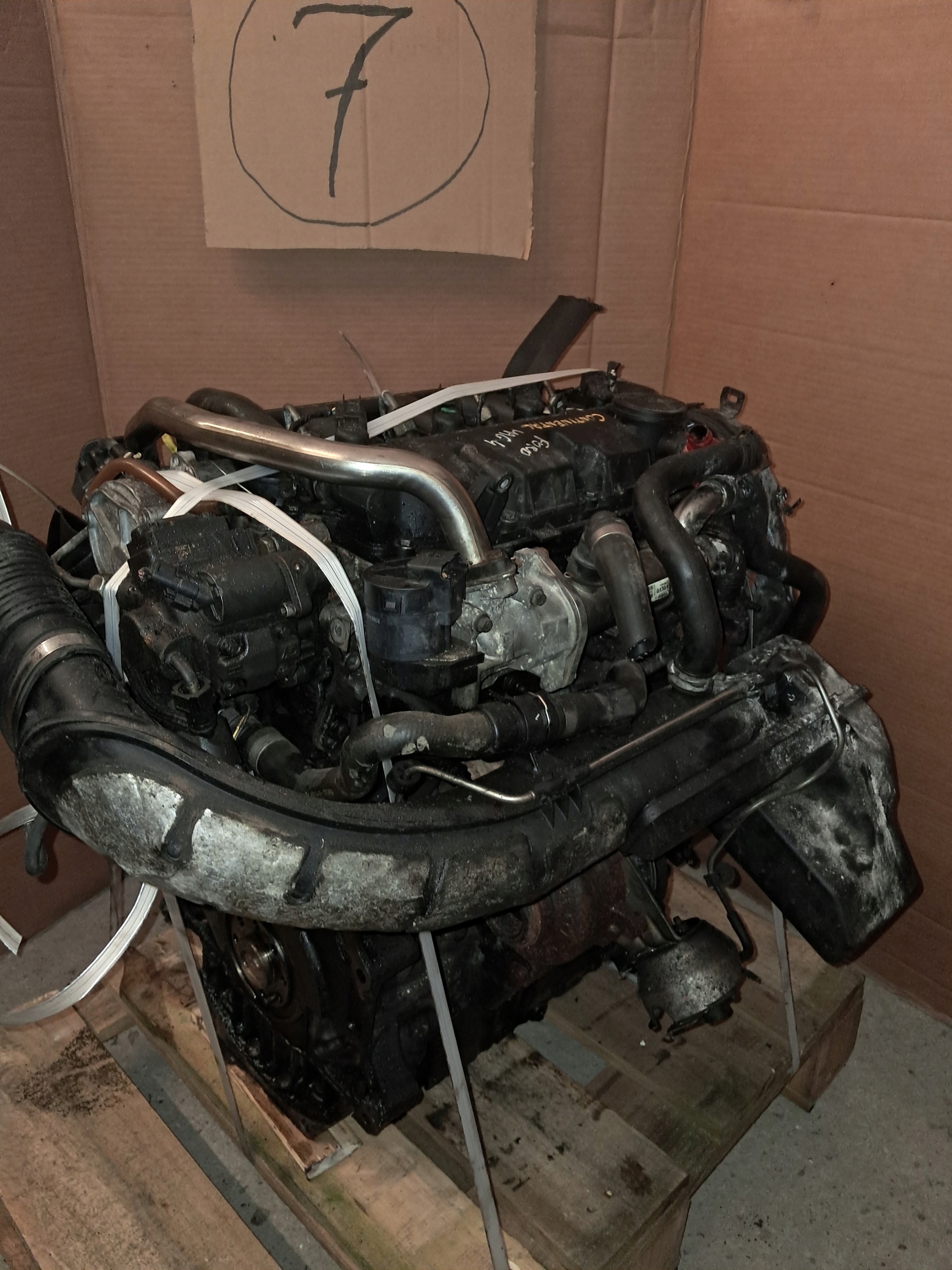 Moteur D 4204 T — vue 9